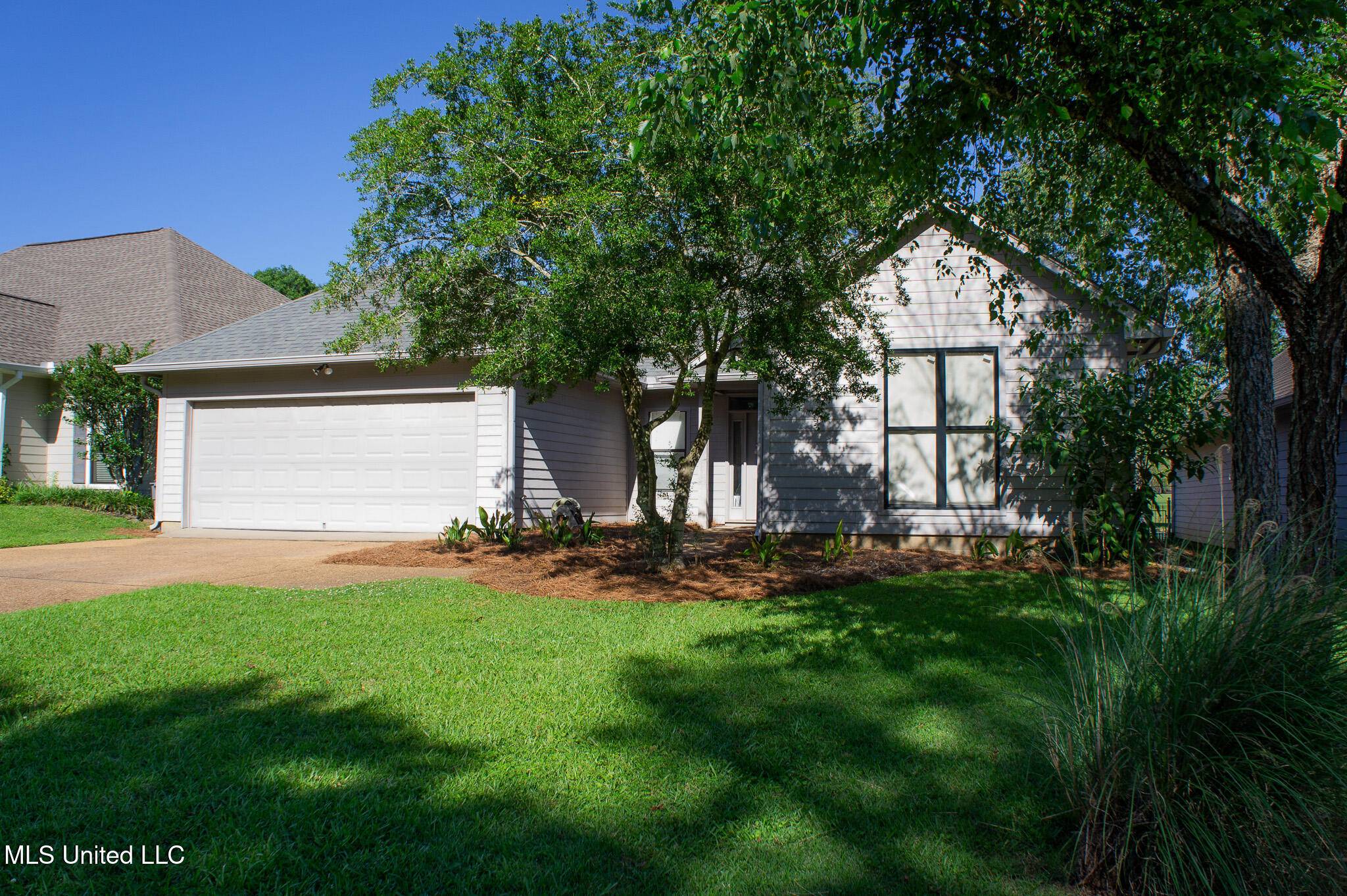 Canton, MS 39046,414 Spike Ridge