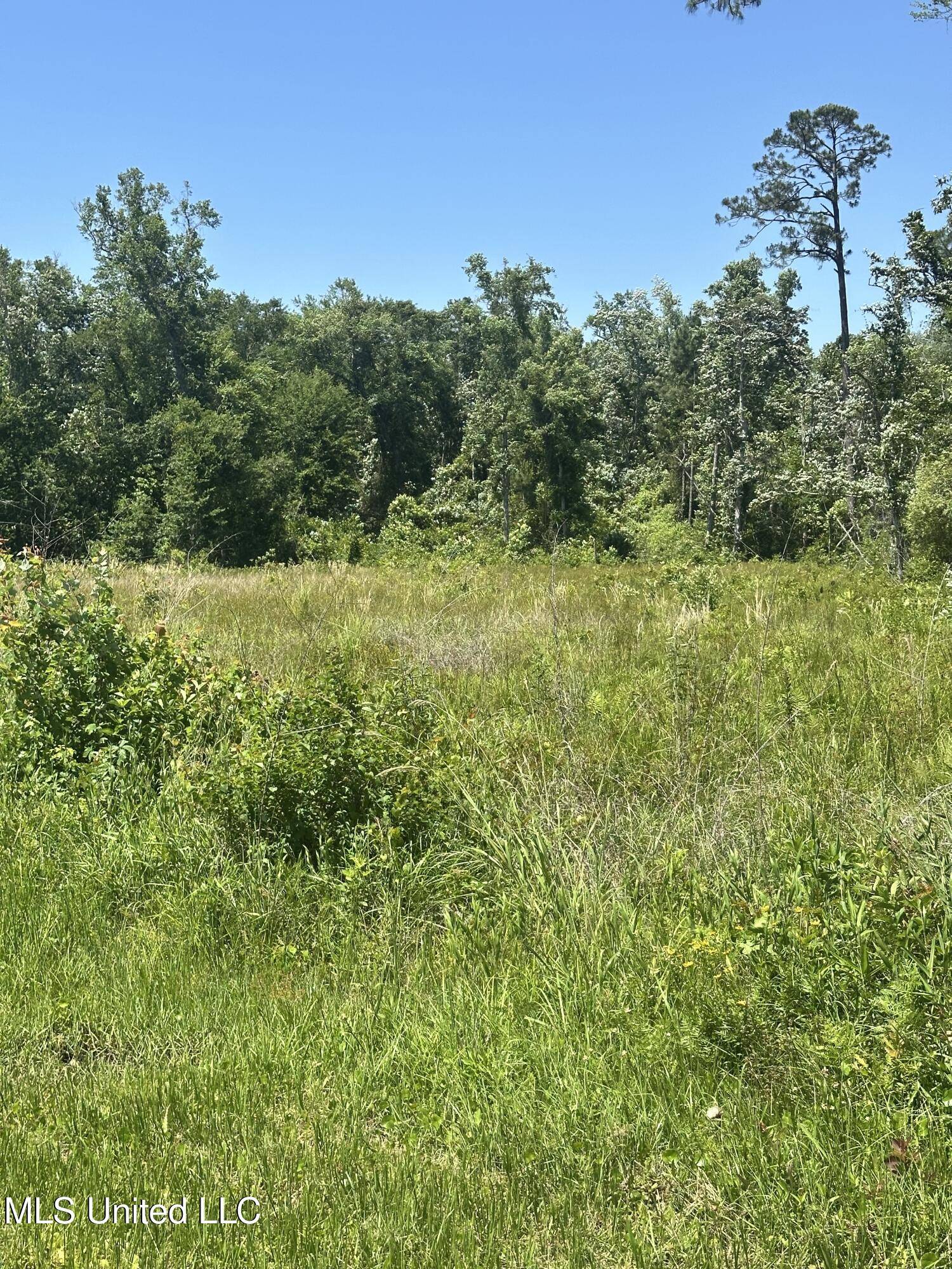 Waveland, MS 39576,0 Nicholson Avenue