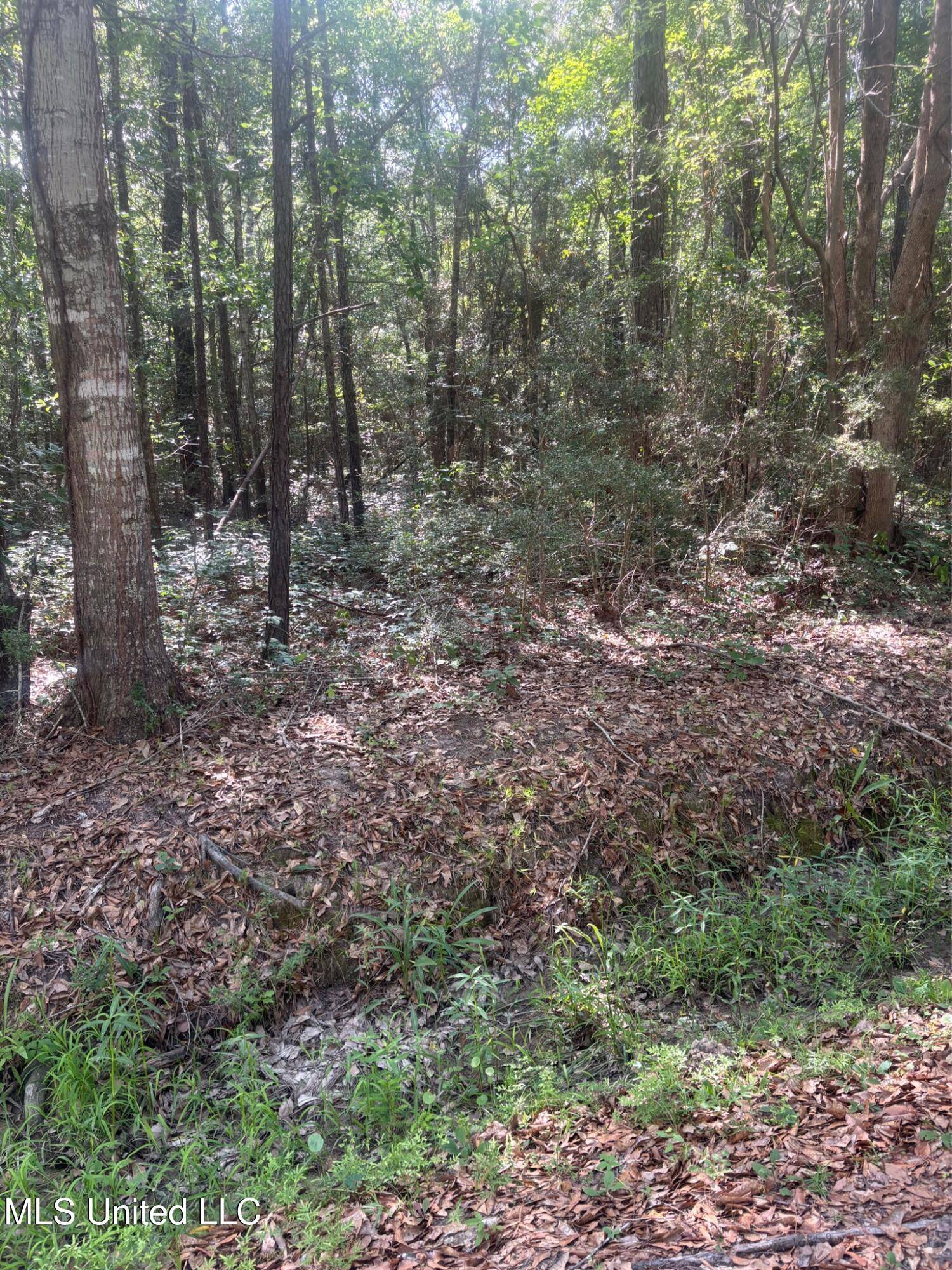 Bay Saint Louis, MS 39520,Cantania/Ridge Road