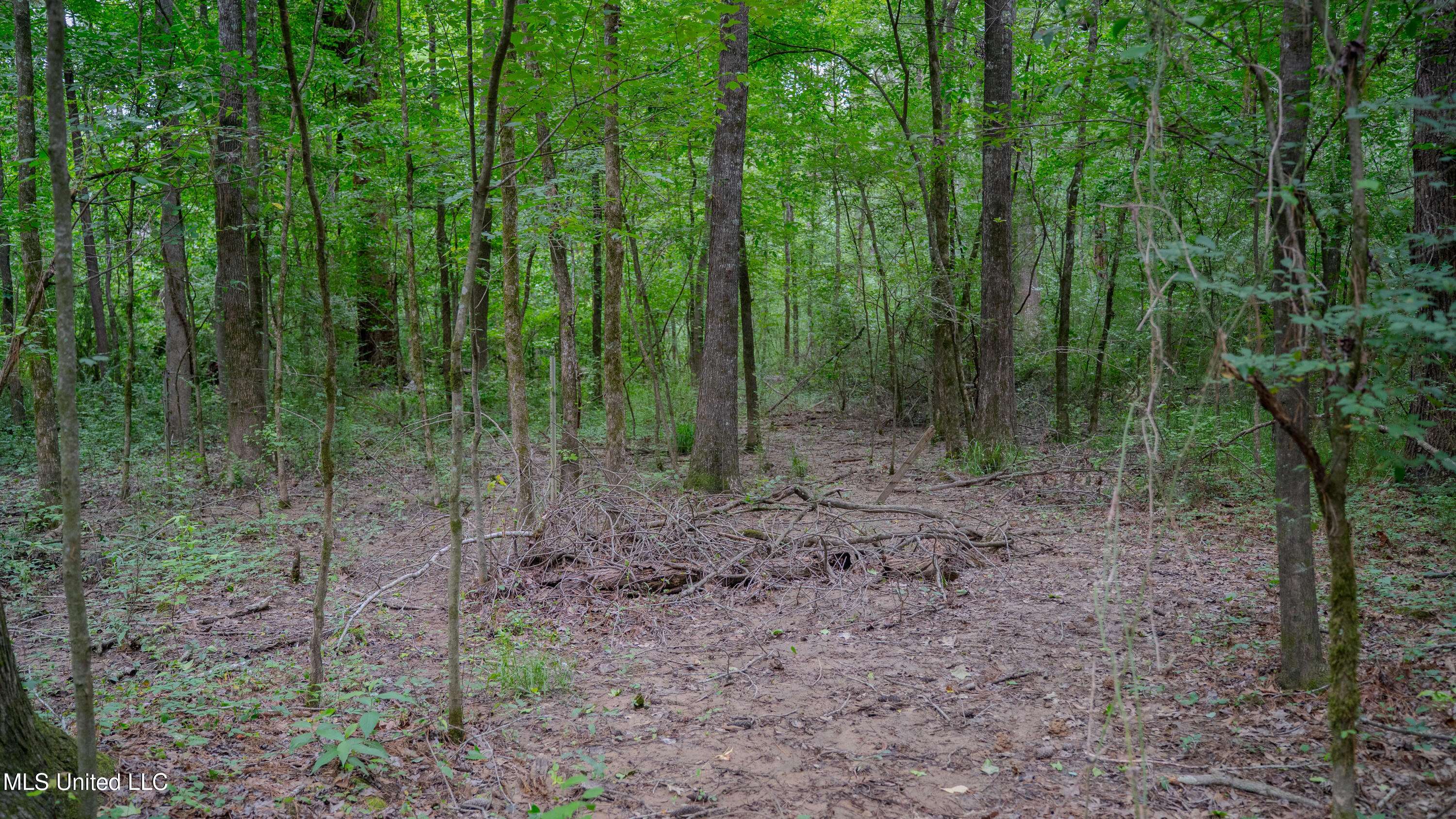 Byram, MS 39272,Big Creek Road