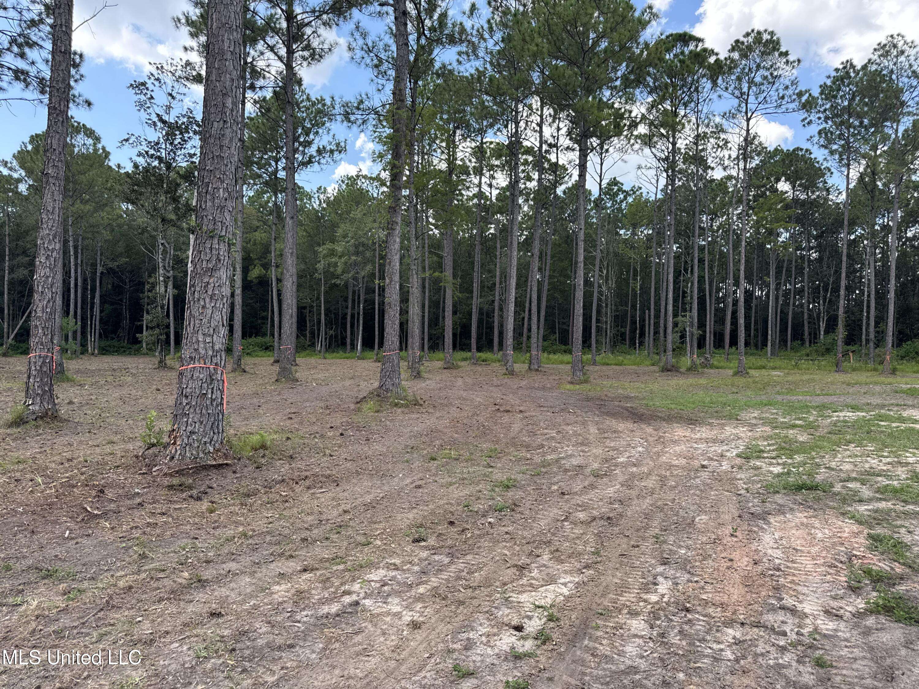 Long Beach, MS 39560,19435 Hartzell Road