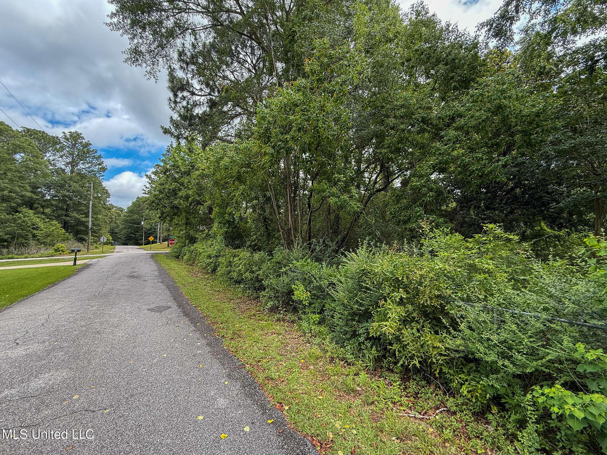 Purvis, MS 39475,Hillcrest Lane