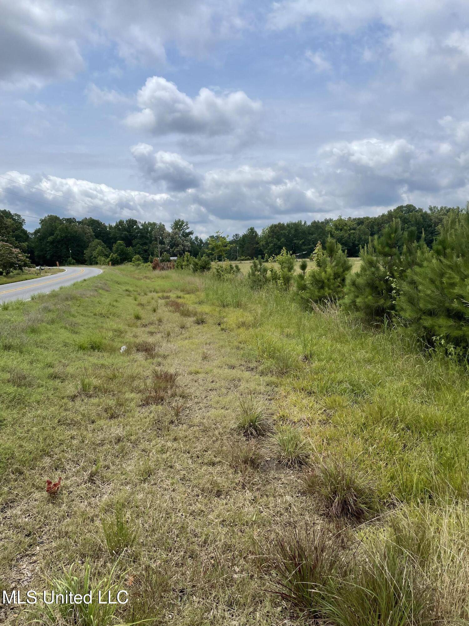 Morton, MS 39117,13 Ms-13