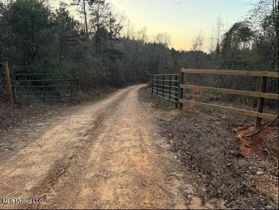 Sallis, MS 39160,2759 County Road 2759