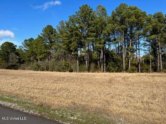 Lucedale, MS 39452,Southern Hills (Parcel 3) Drive