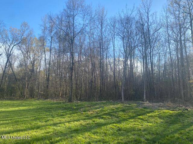 Hernando, MS 38632,Gaines Road
