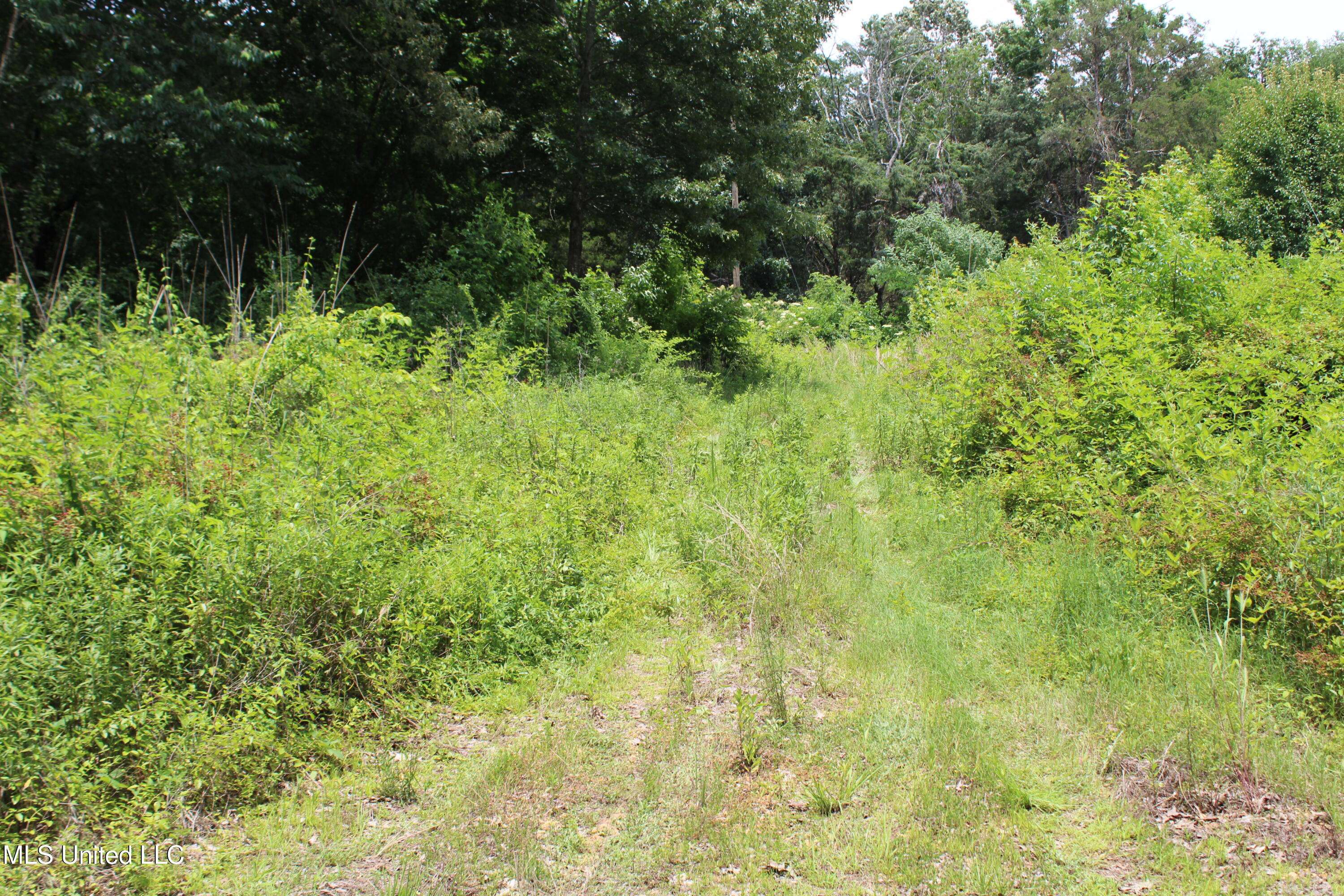 Byhalia, MS 38611,Mt Pleasant Road