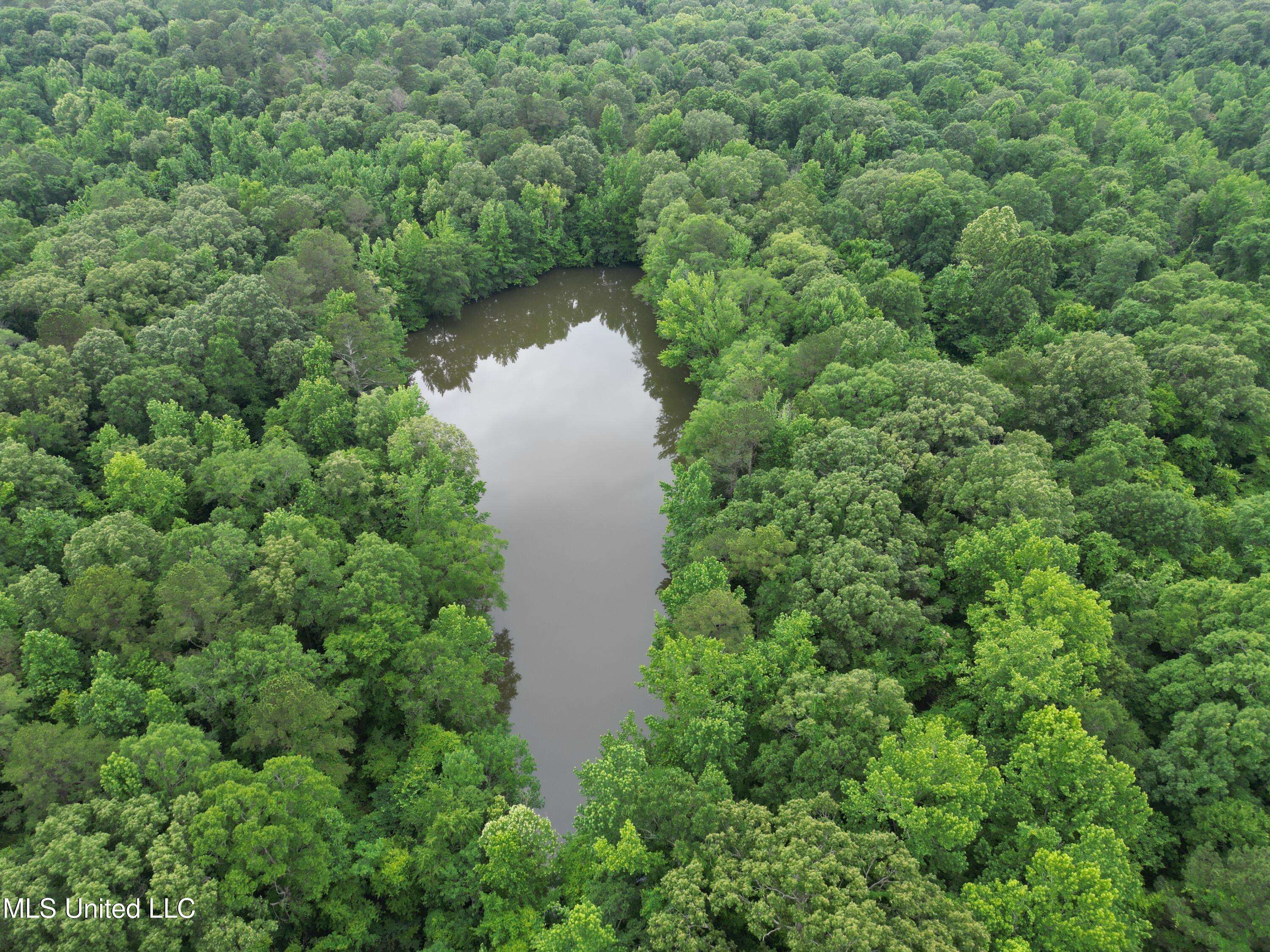 Benton, MS 39039,Gessler Rd