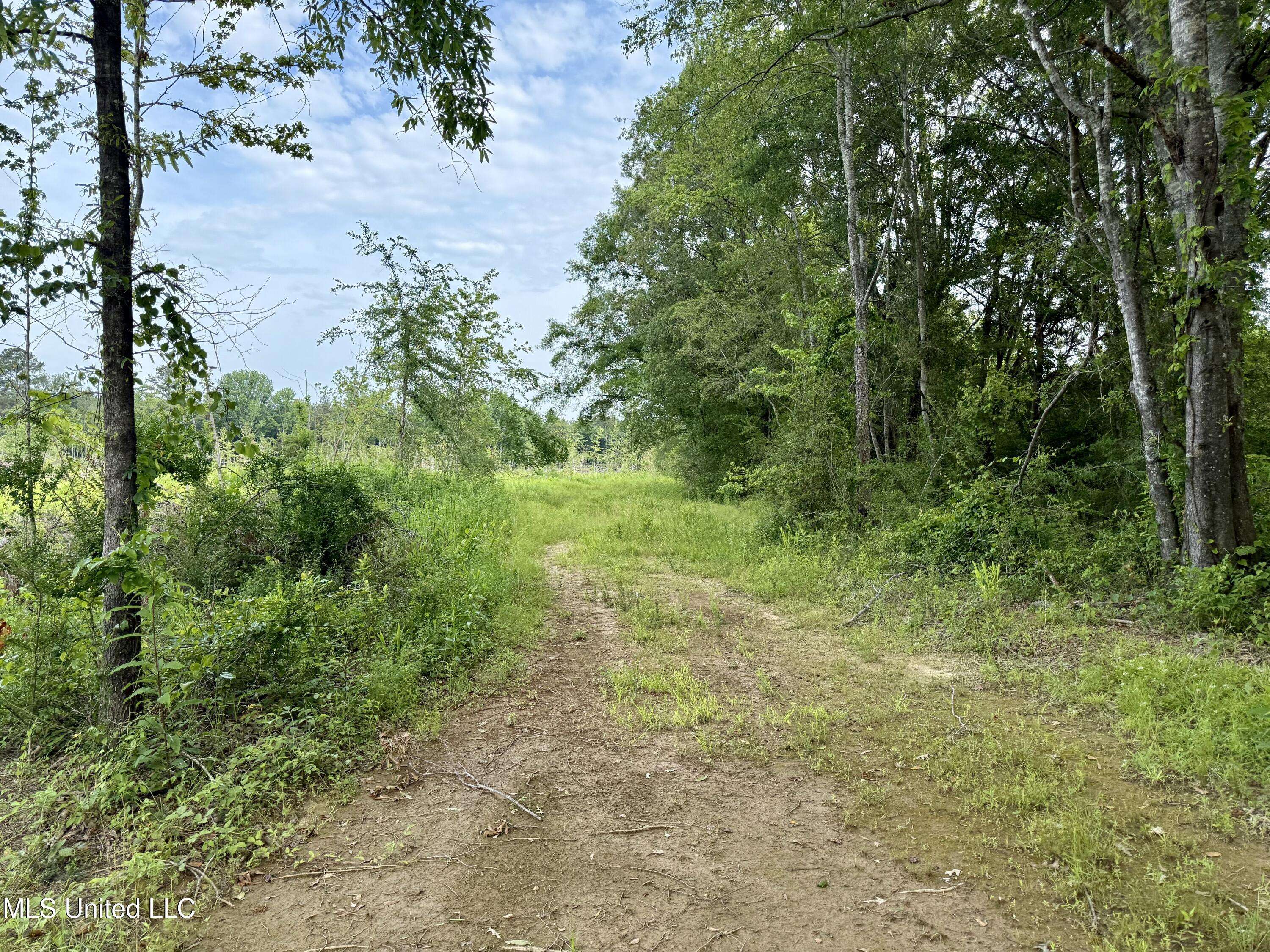 Kosciusko, MS 39090,Comfort Rd