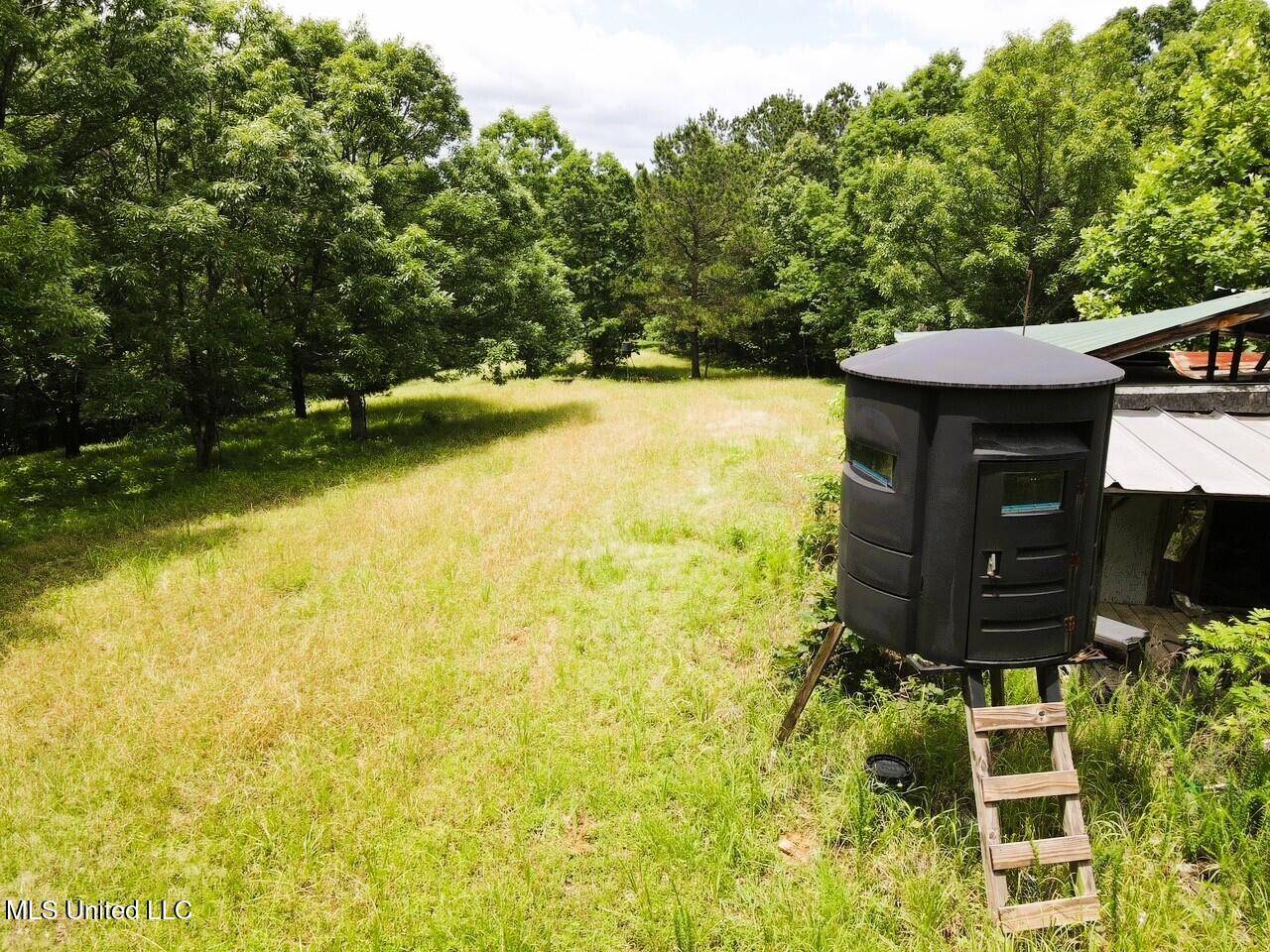 Eupora, MS 39744,Pepper Town Rd