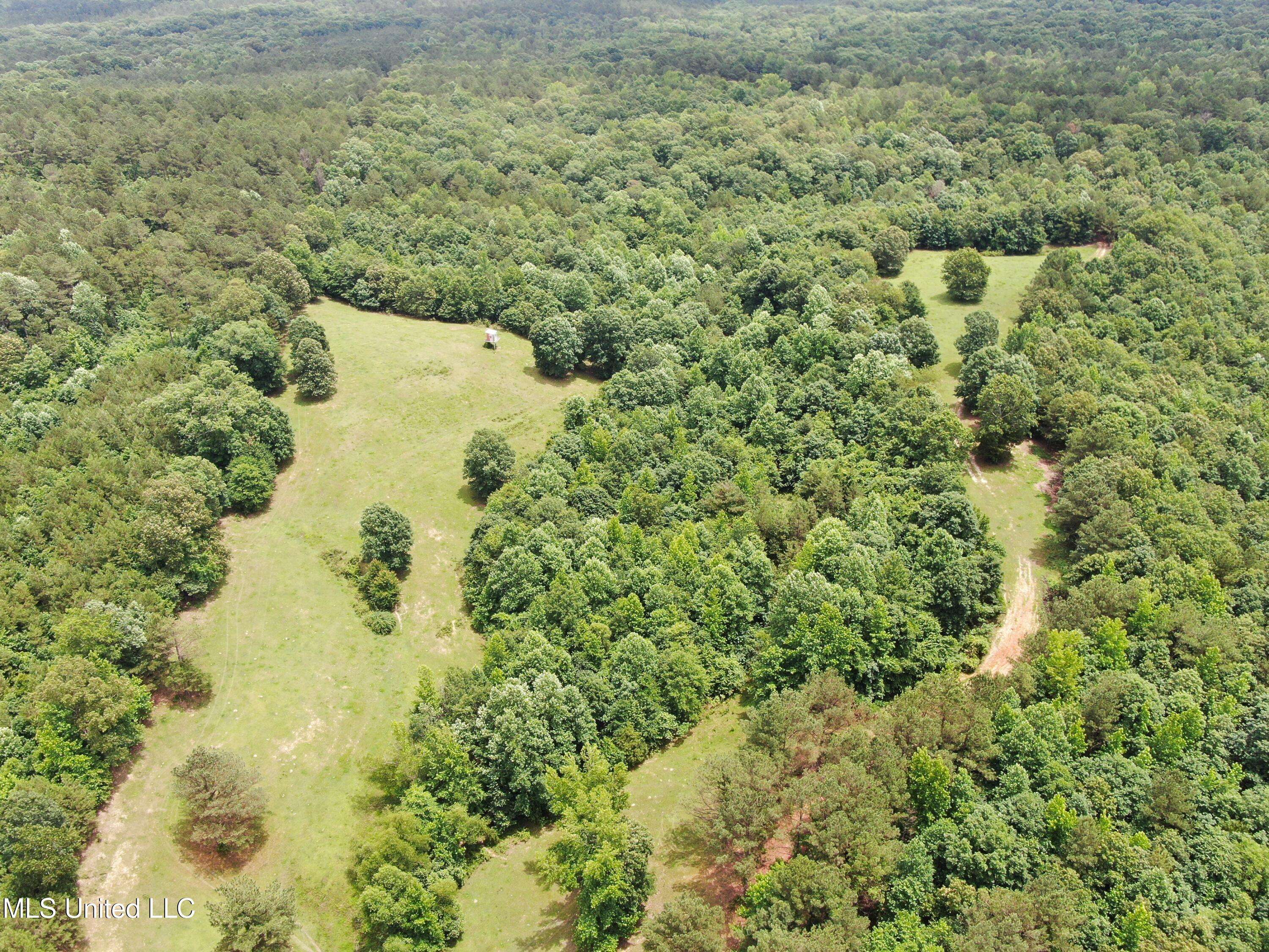 Hickory Flat, MS 38633,0 Tanner Drive