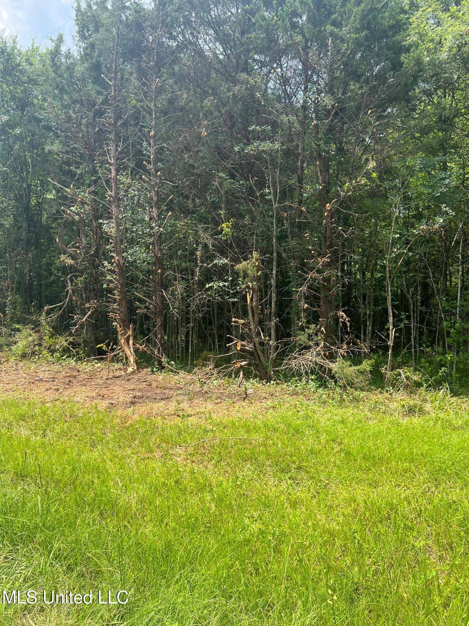 Canton, MS 39046,154 Brooks Road