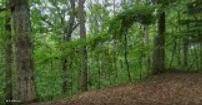 New Albany, MS 38652,Oakdale Drive