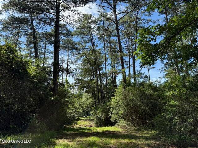 Collins, MS 39428,2 Hwy 49