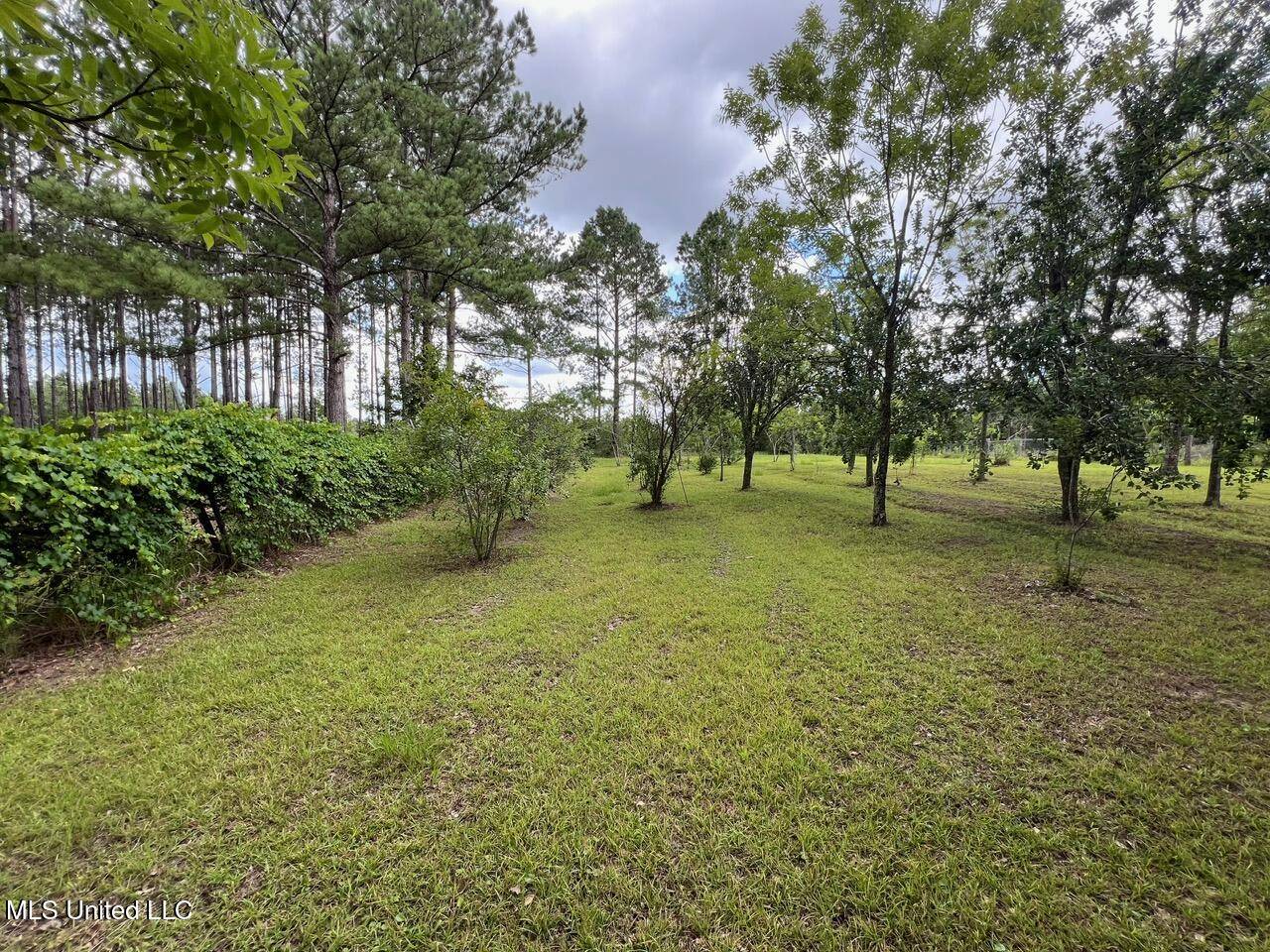 Vancleave, MS 39565,24002 Highway 57