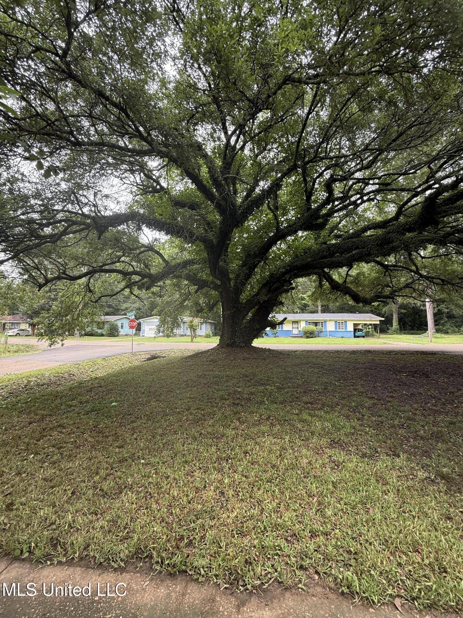 Jackson, MS 39206,4189 Del Rosa Drive