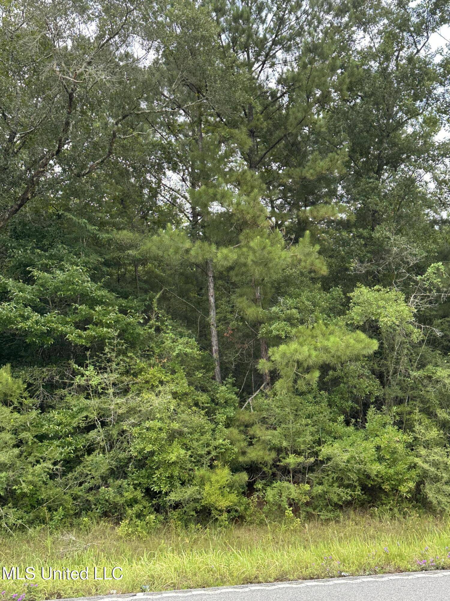 Moss Point, MS 39562,Ms-613