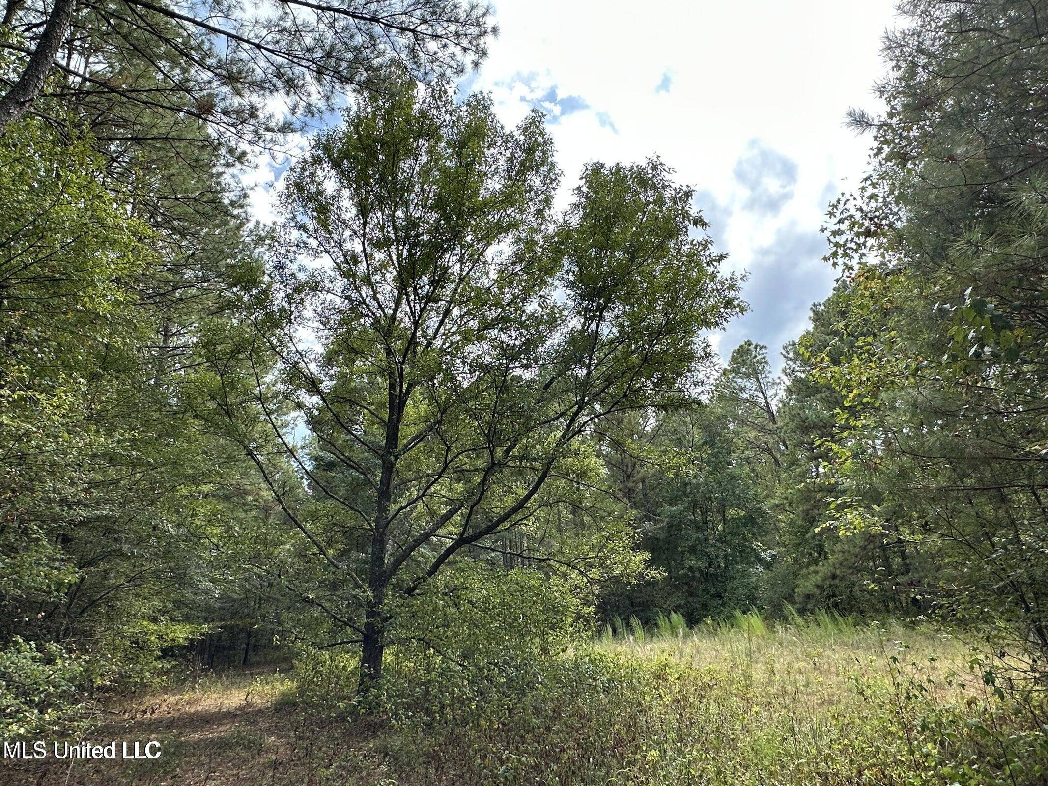 Morton, MS 39117,4884 Hwy 13 North