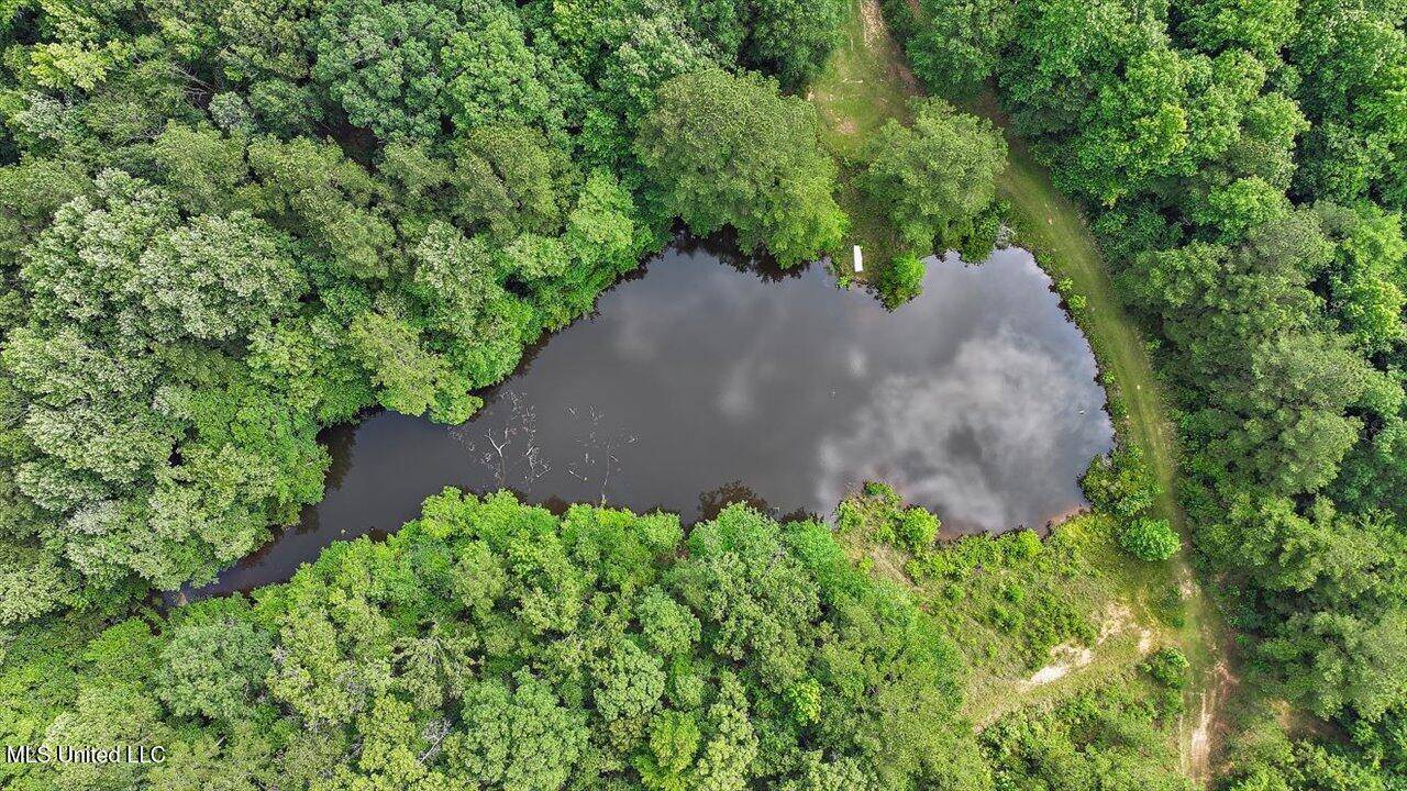 Mendenhall, MS 39114,Brandon - Williamsburg Road