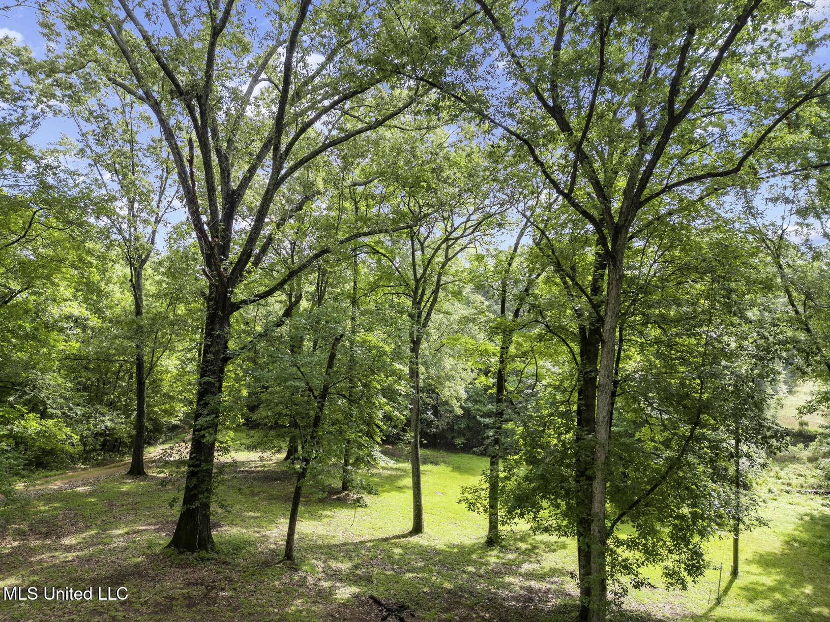 Crystal Springs, MS 39059,23081 Highway 51