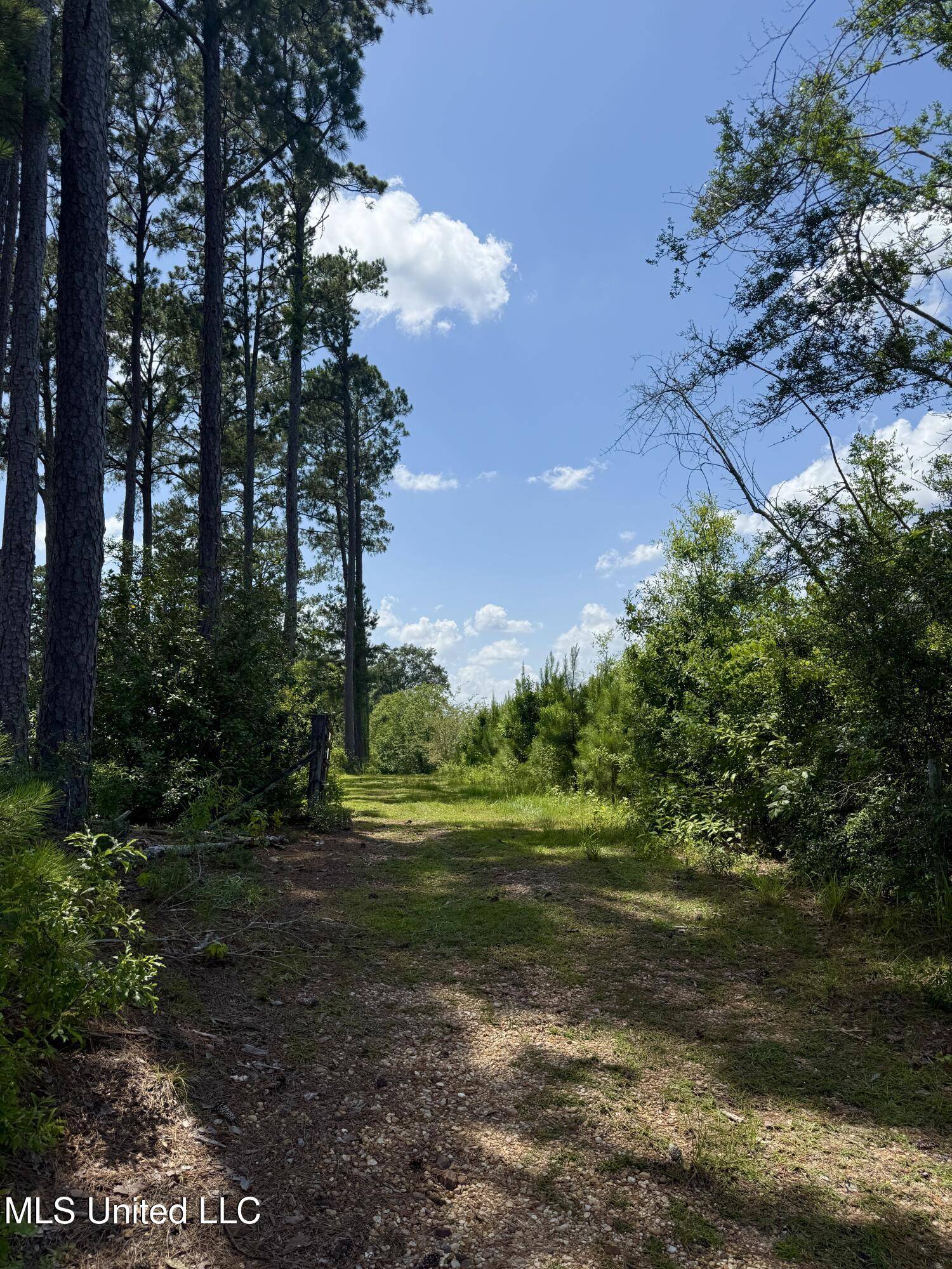 Kentwood, MS 70444,77151 N River Road