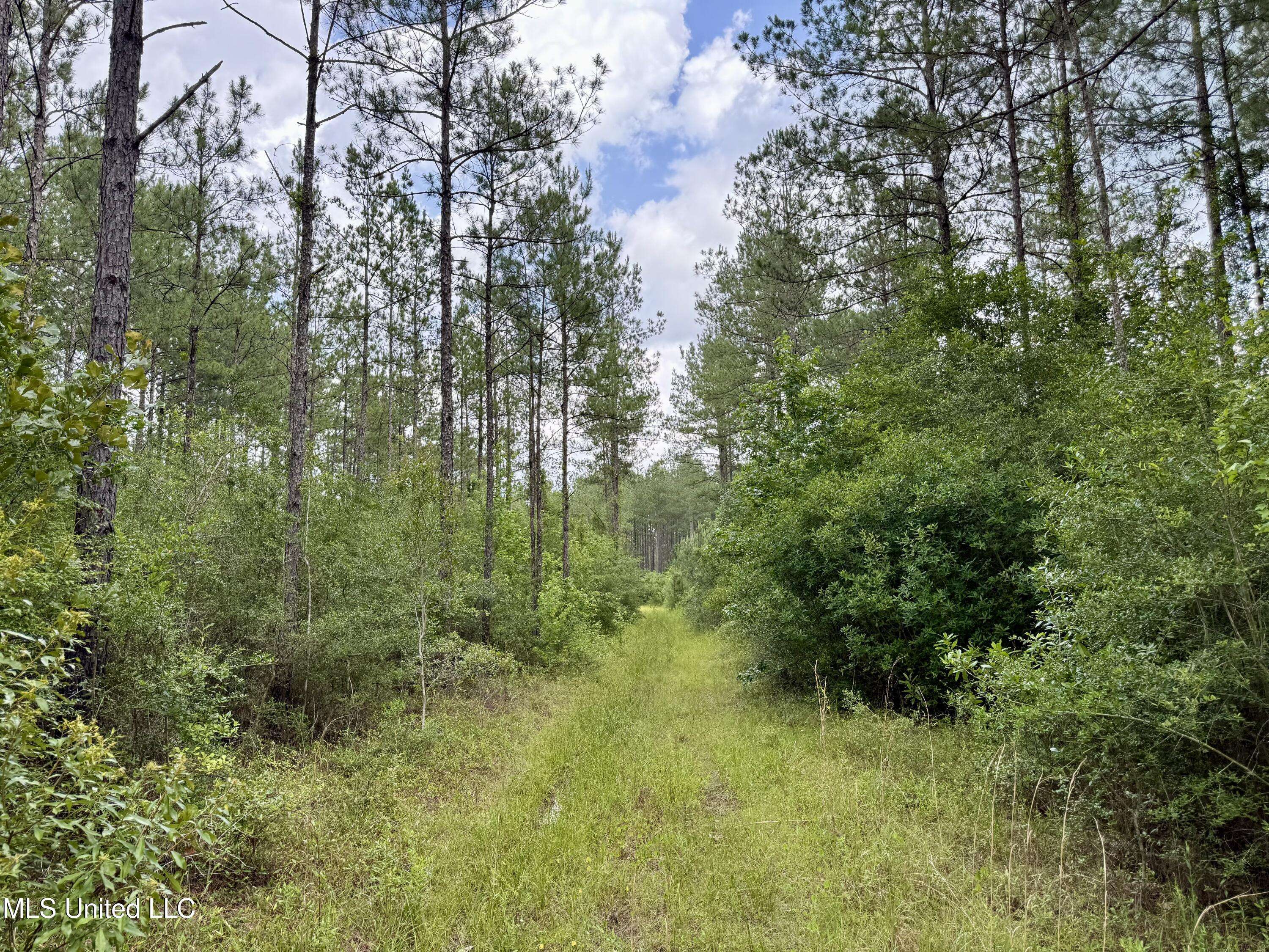 Carriere, MS 39426,Sones Chapel Rd Road