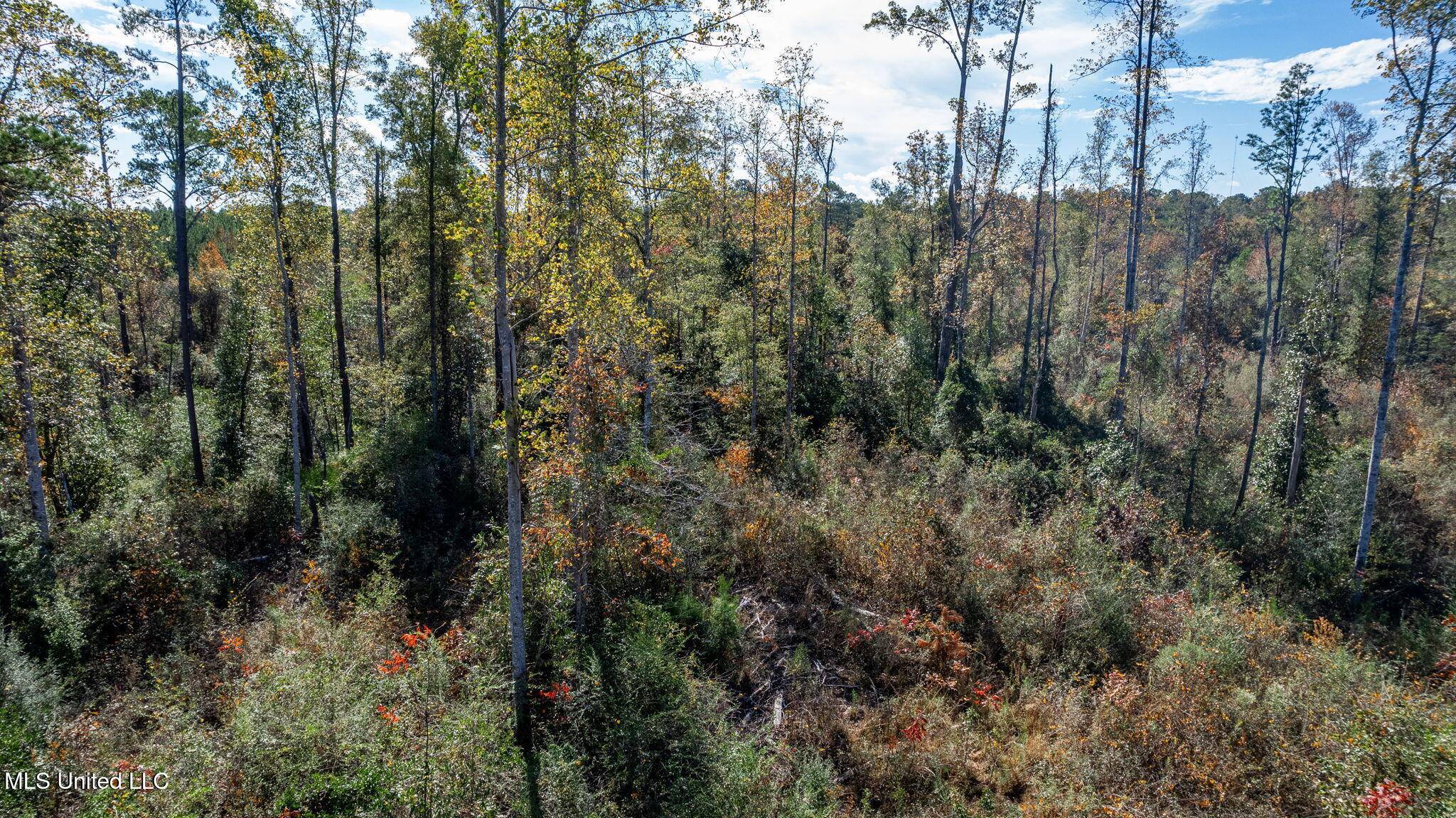 Sumrall, MS 39482,36 Acres Placid Drive