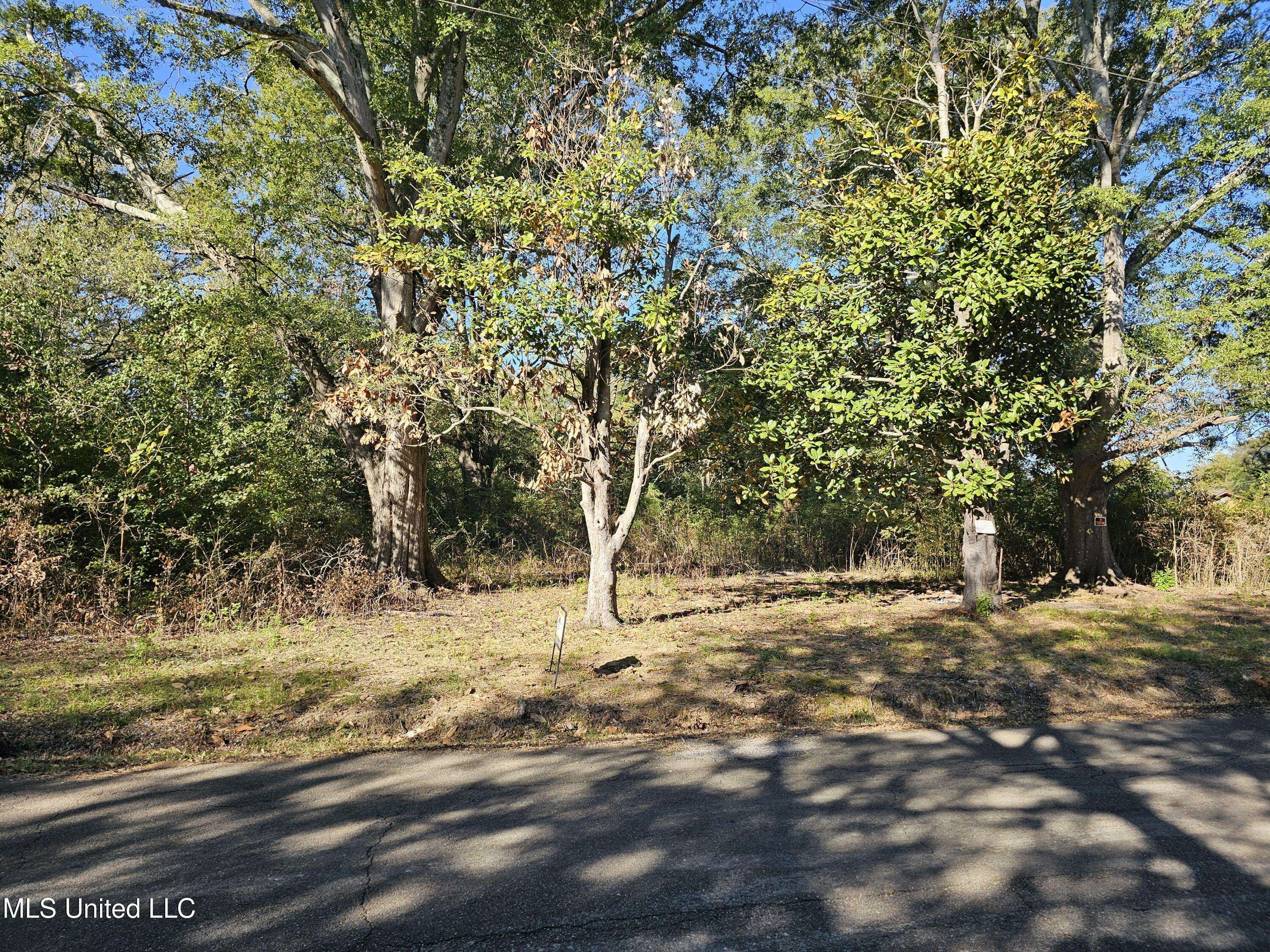 Okolona, MS 38860,111 N East Street