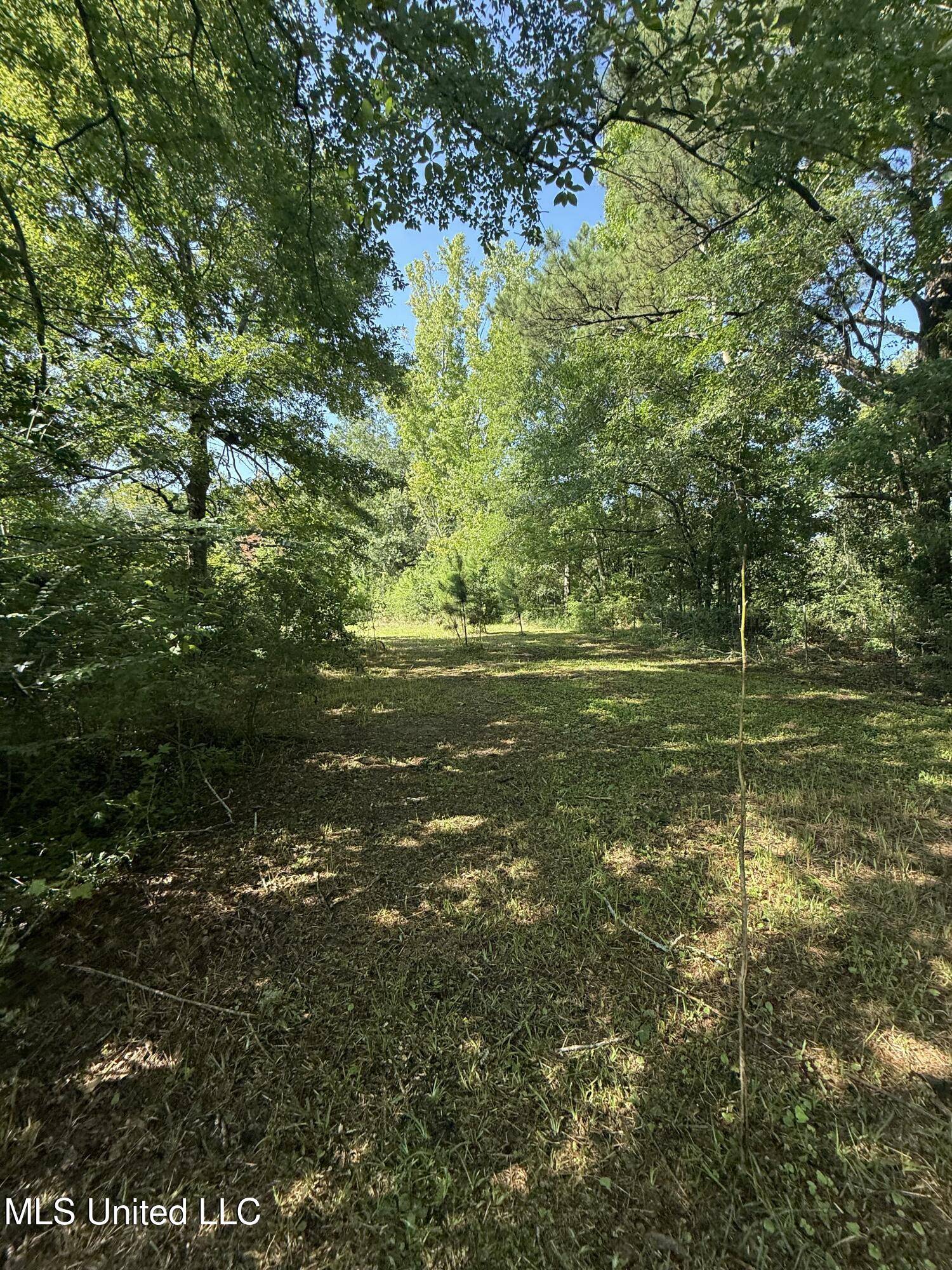 Vancleave, MS 39565,2412 D H Smith Road