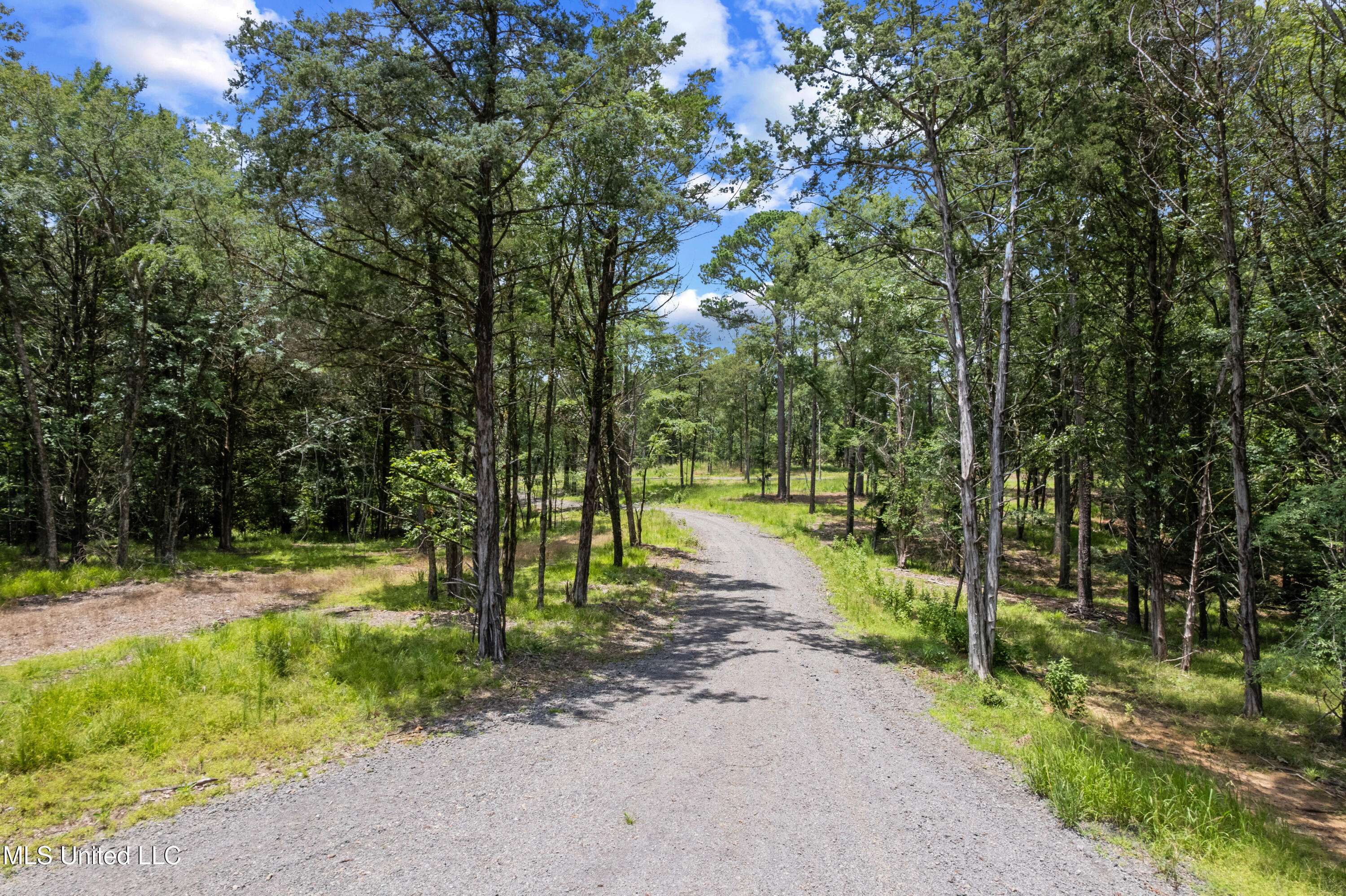 Flora, MS 39071,Canyon Ridge