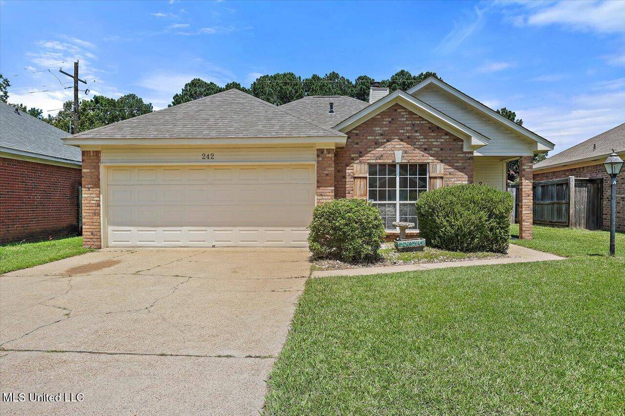 Brandon, MS 39047,242 Commonwealth Avenue