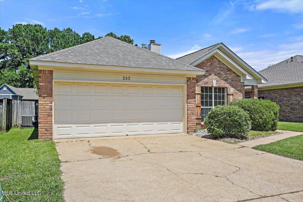 Brandon, MS 39047,242 Commonwealth Avenue