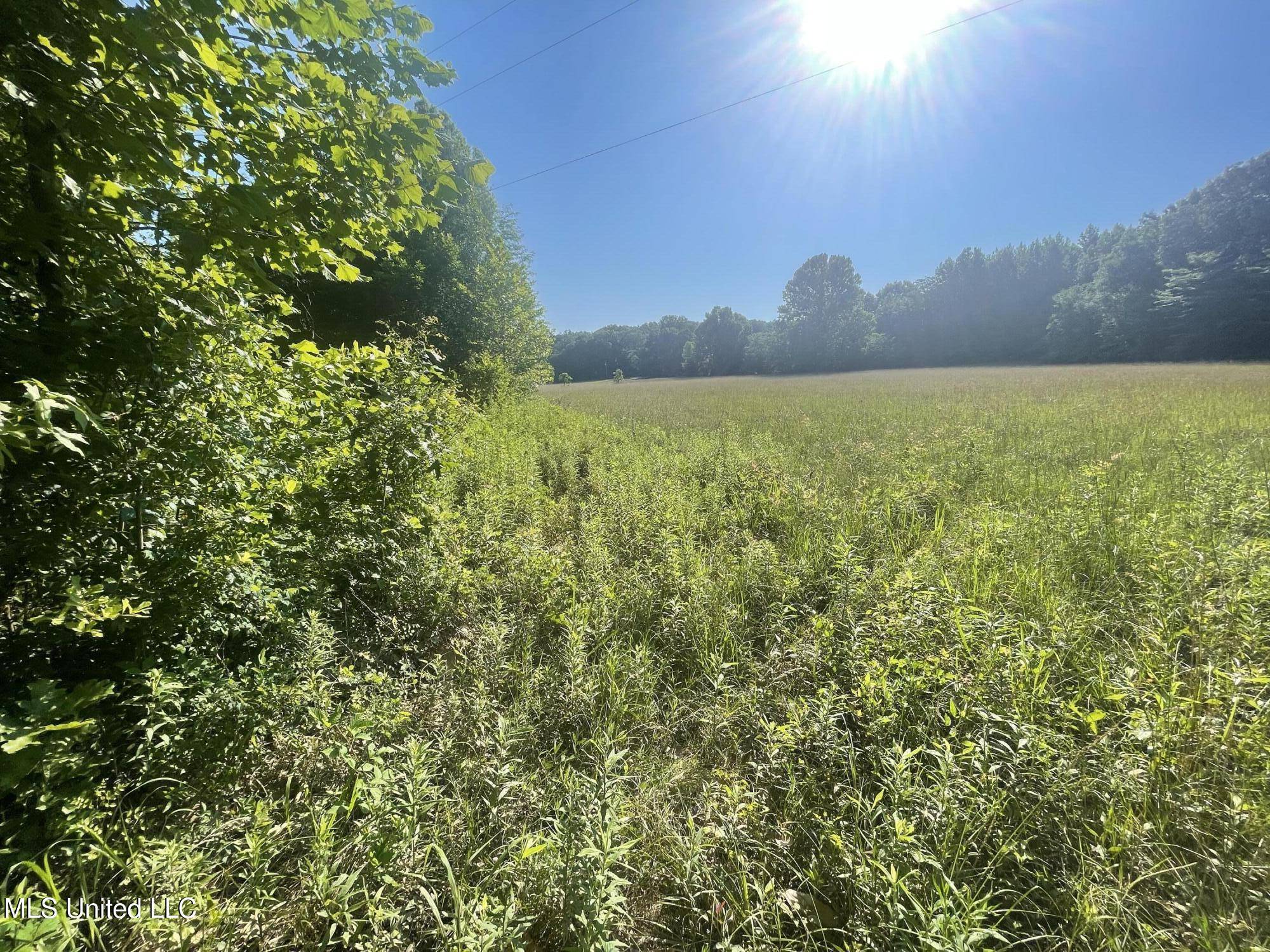 Sarah, MS 38665,Mcmaster Road