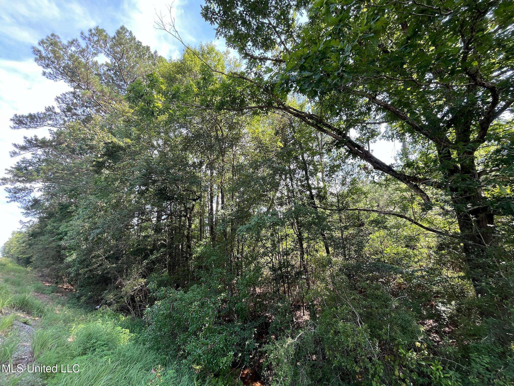 Leakesville, MS 39451,N Hwy 63