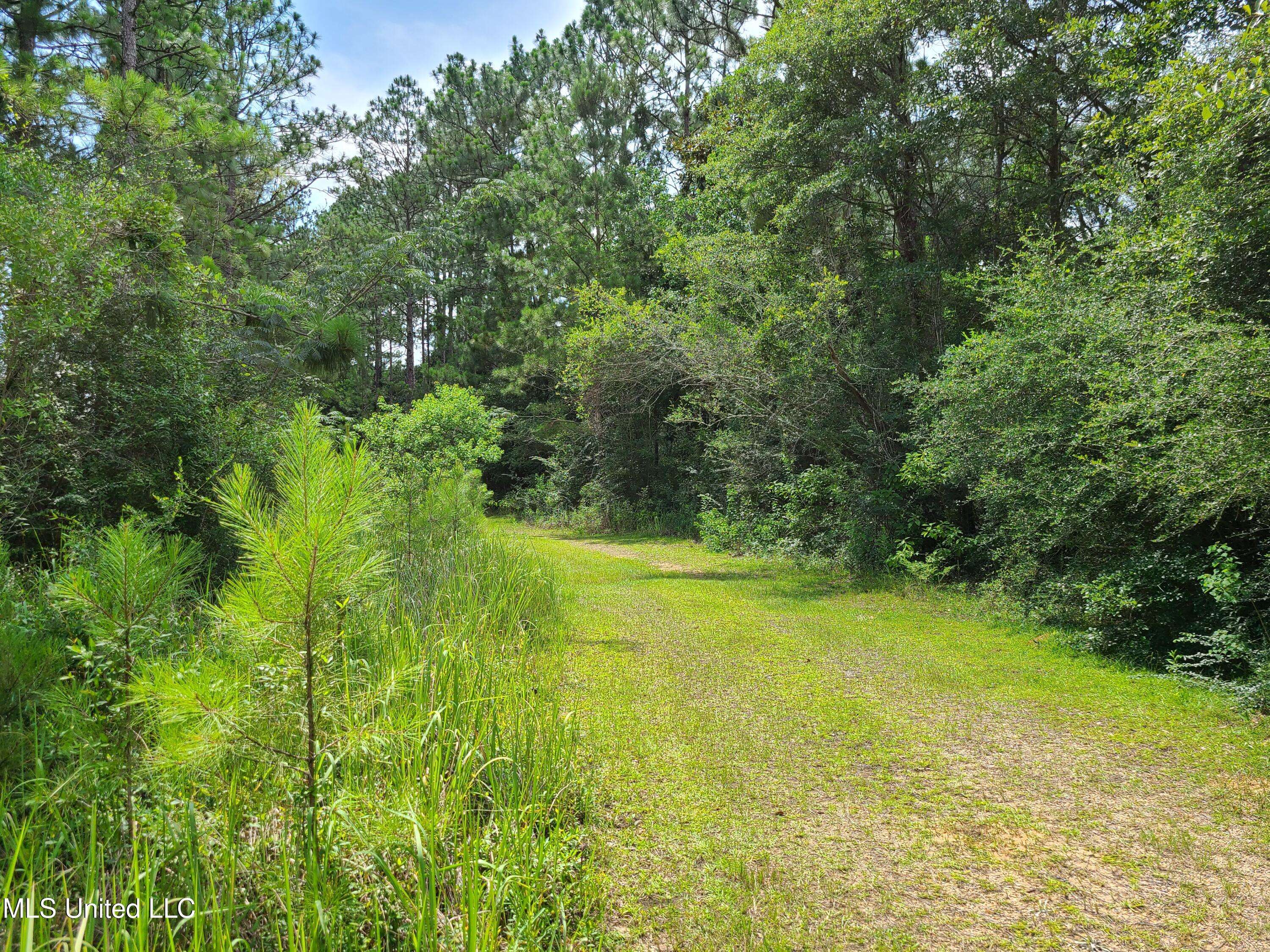 Lucedale, MS 39452,Hwy 612