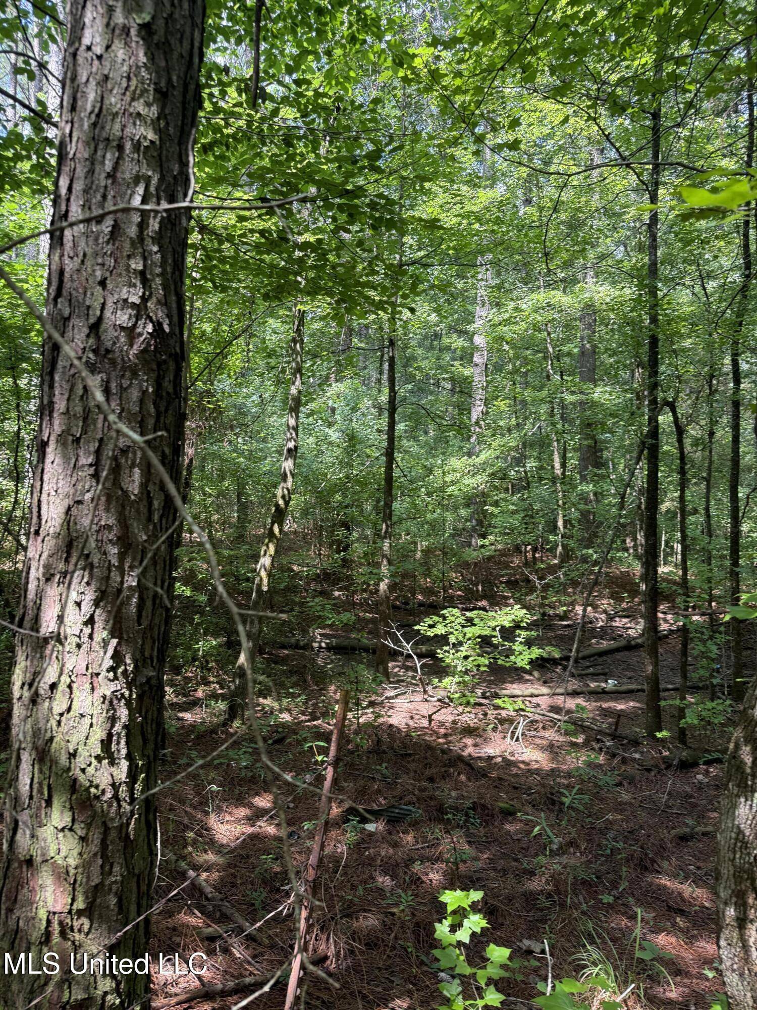 Florence, MS 39073,0 Seventh Day Road Road
