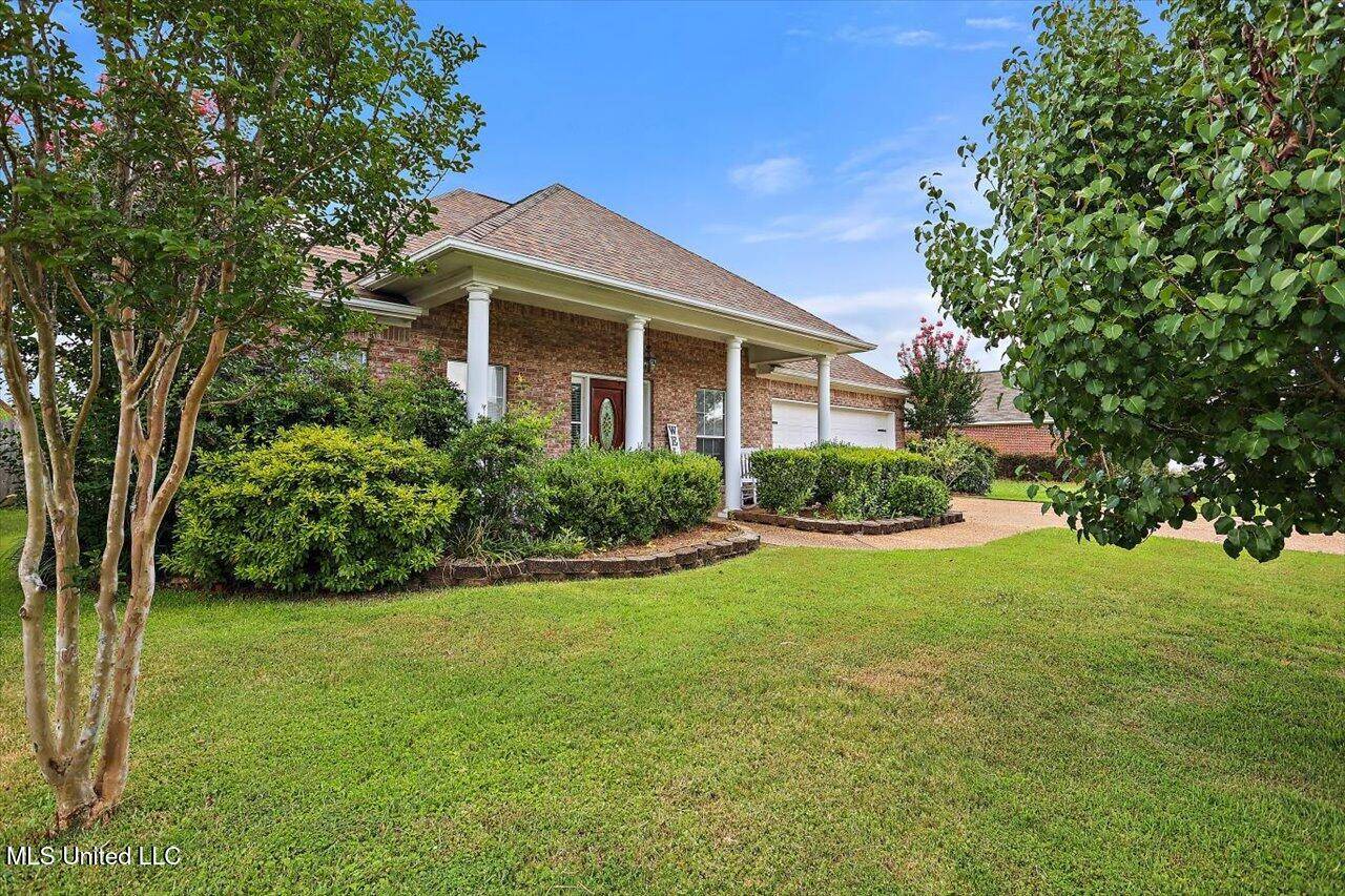 Brandon, MS 39047,238 John Martin Drive