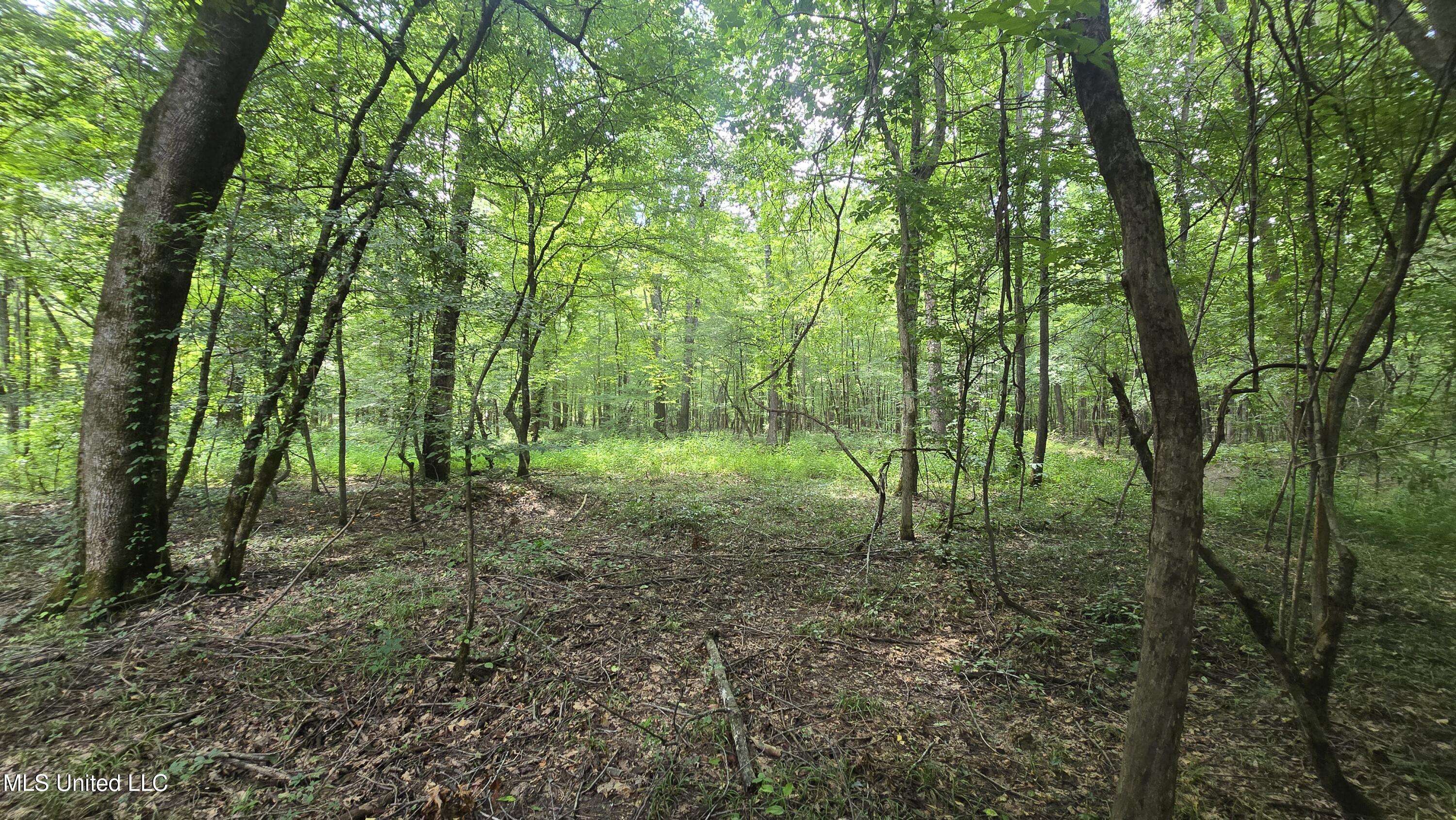 Kilmichael, MS 39747,Ms-407
