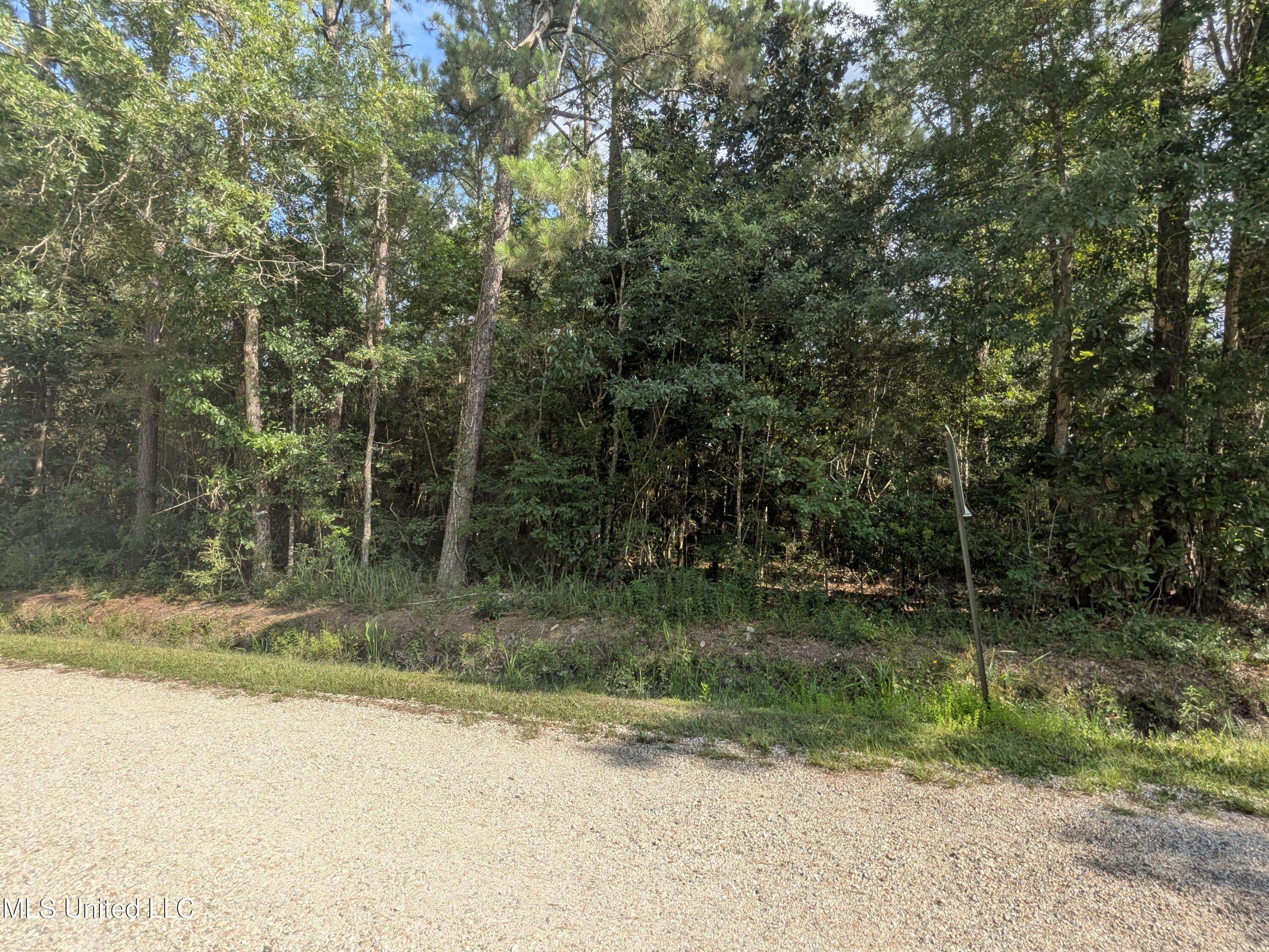 Bay Saint Louis, MS 39520,W. Newton Street