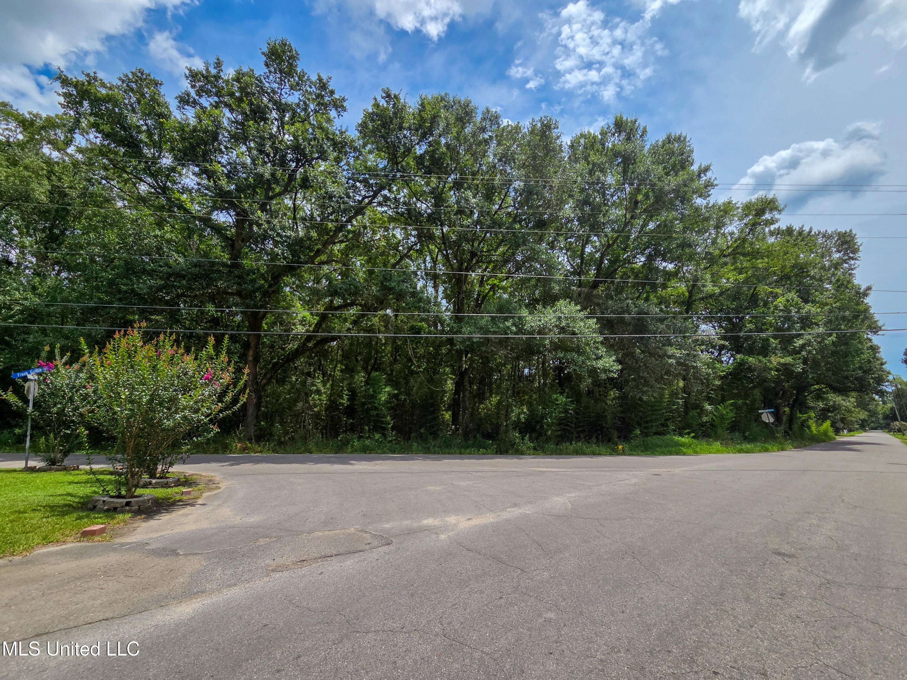 Moss Point, MS 39563,Frank Griffin Road