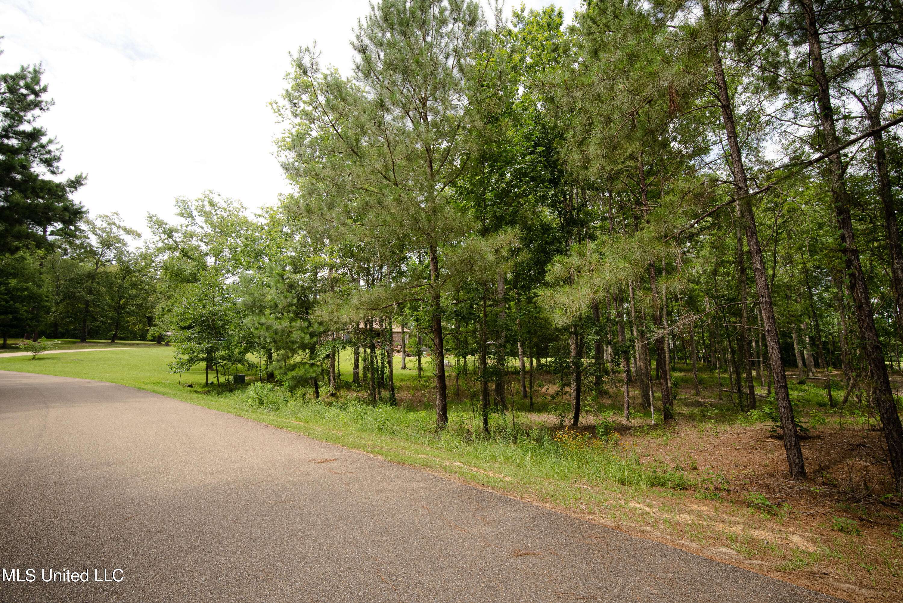 Brandon, MS 39042,Danielle Cove