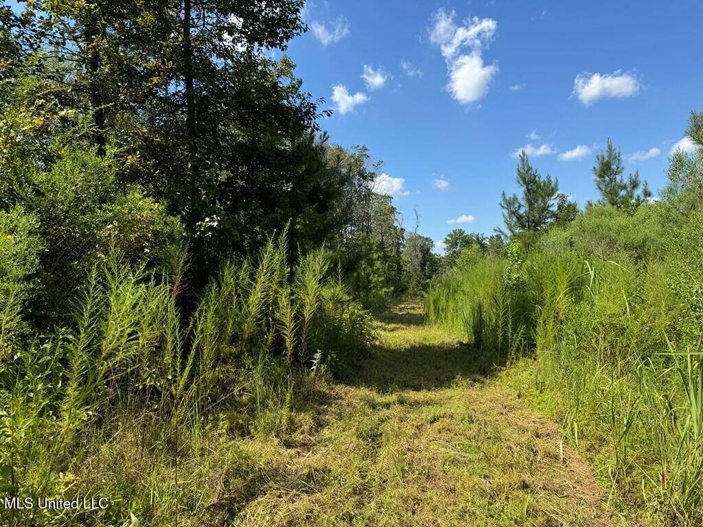 Brookhaven, MS 39602,816 Denton Trail