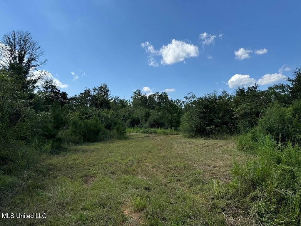 Brookhaven, MS 39602,816 Denton Trail