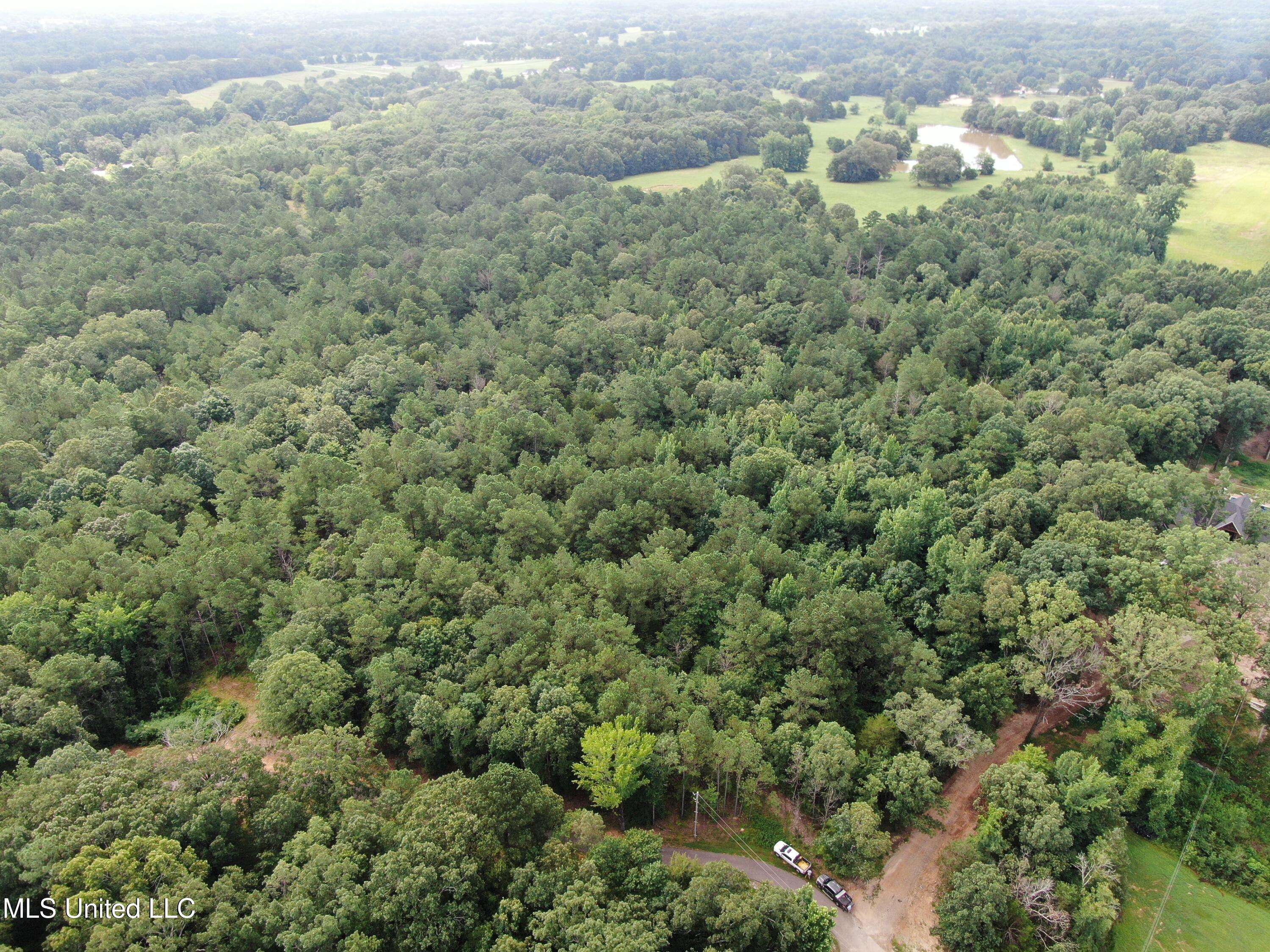 Byhalia, MS 38611,14495 Valley View