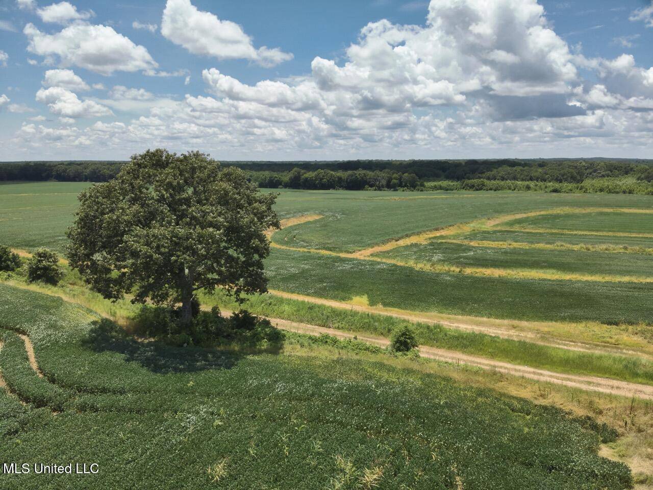 Lexington, MS 39095,Springhill Road