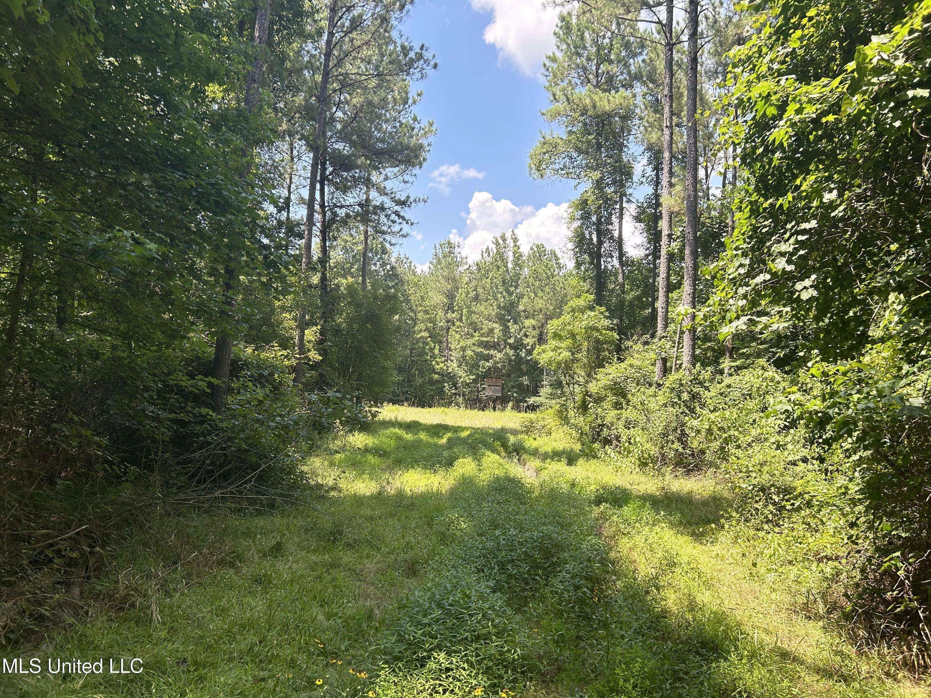 Brandon, MS 39042,George Warren Road