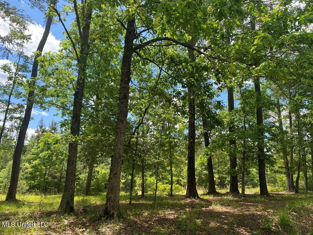 Wesson, MS 39191,3352 NE Mound Road