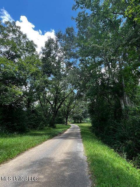 Louin, MS 39338,0 Smith County Rd 534
