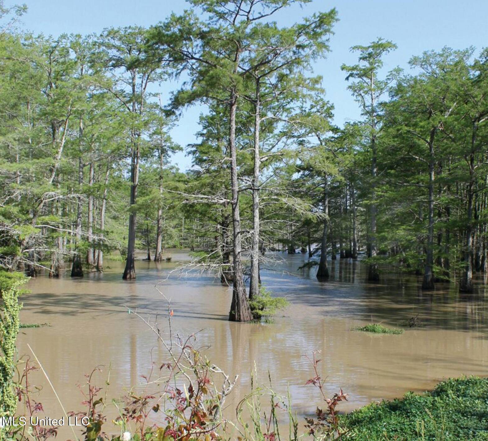 Itta Bena, MS 38941,Lakeshore Street