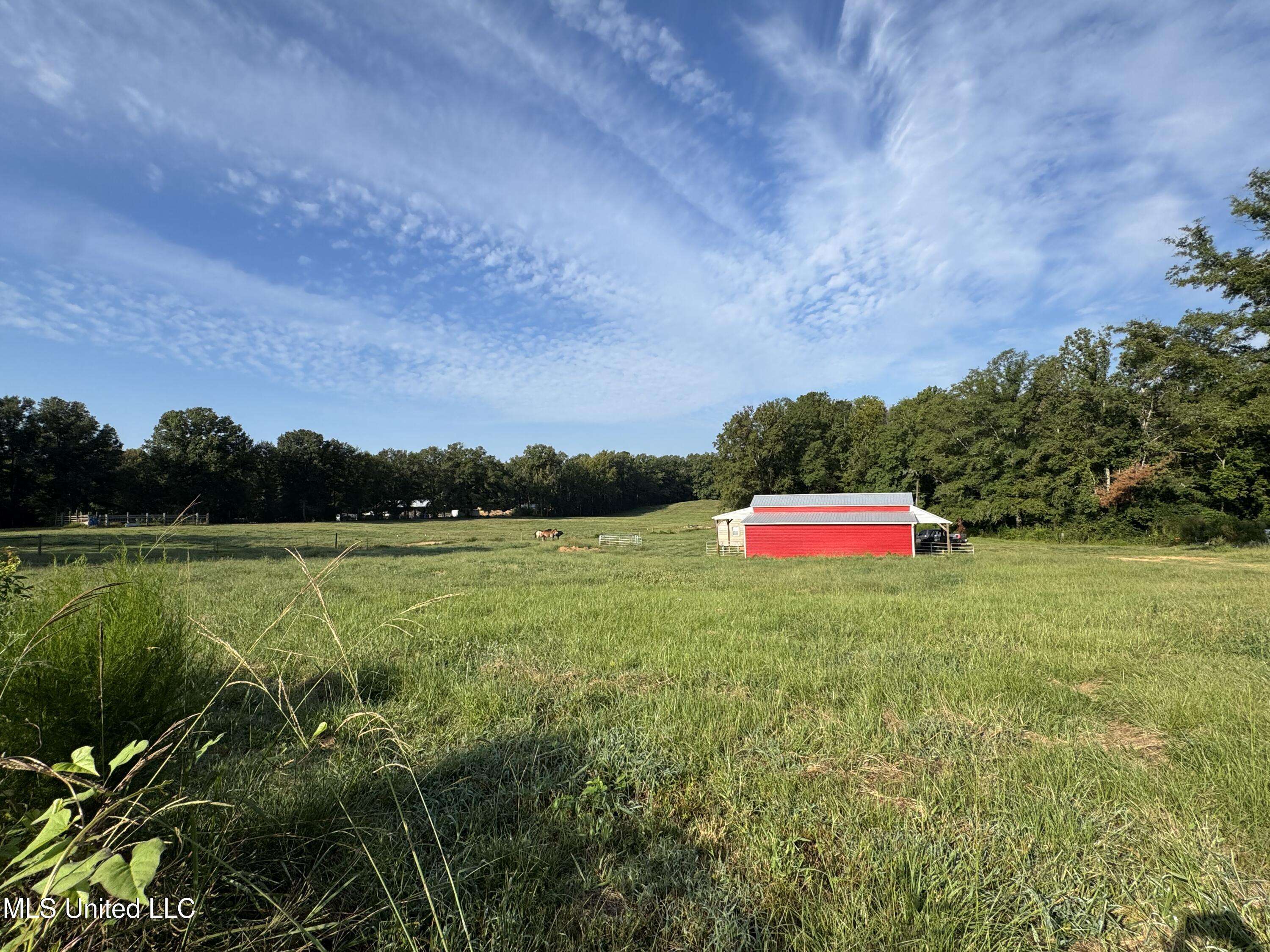 Lena, MS 39094,51 Gunter Street